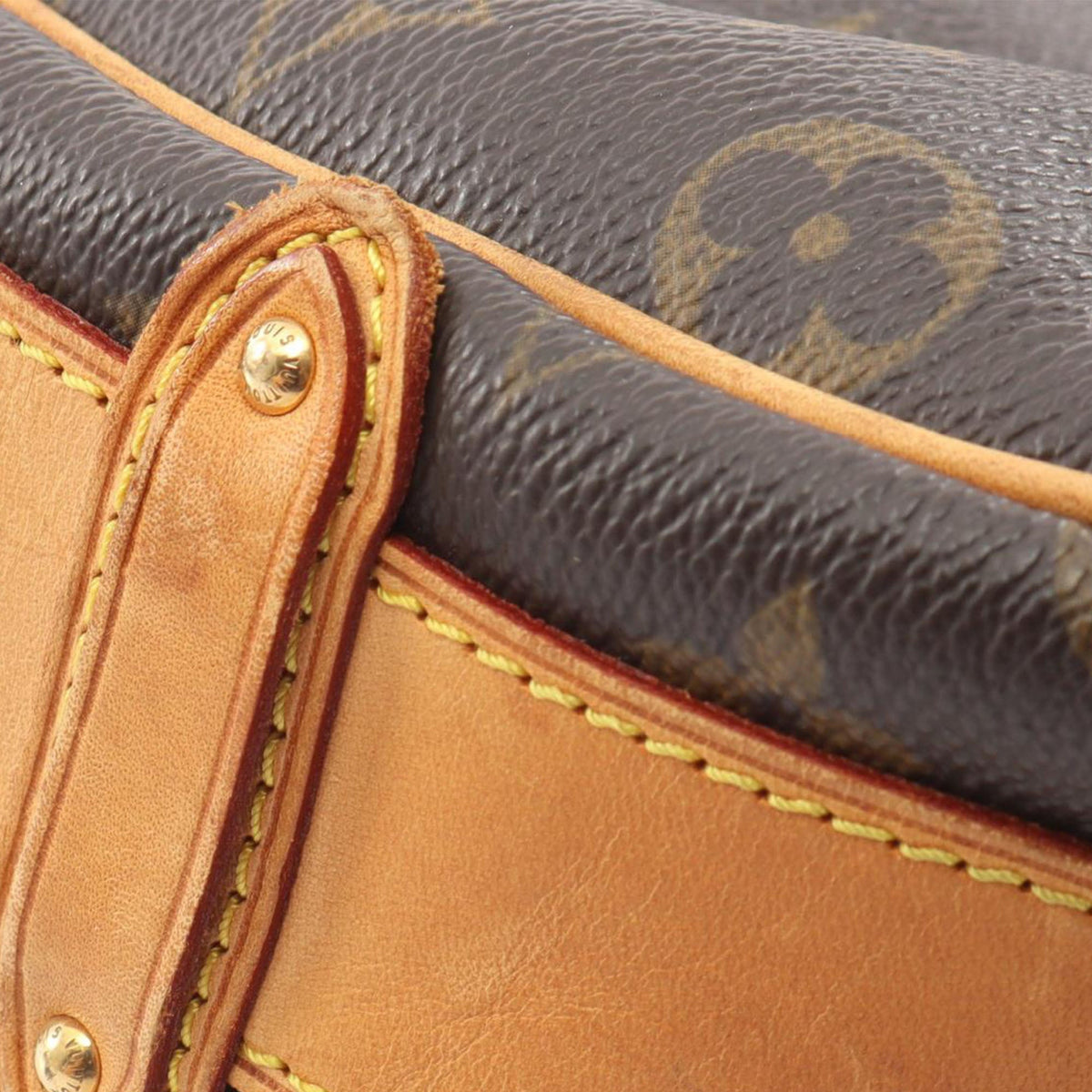 Louis Vuitton Monogram Tulum GM