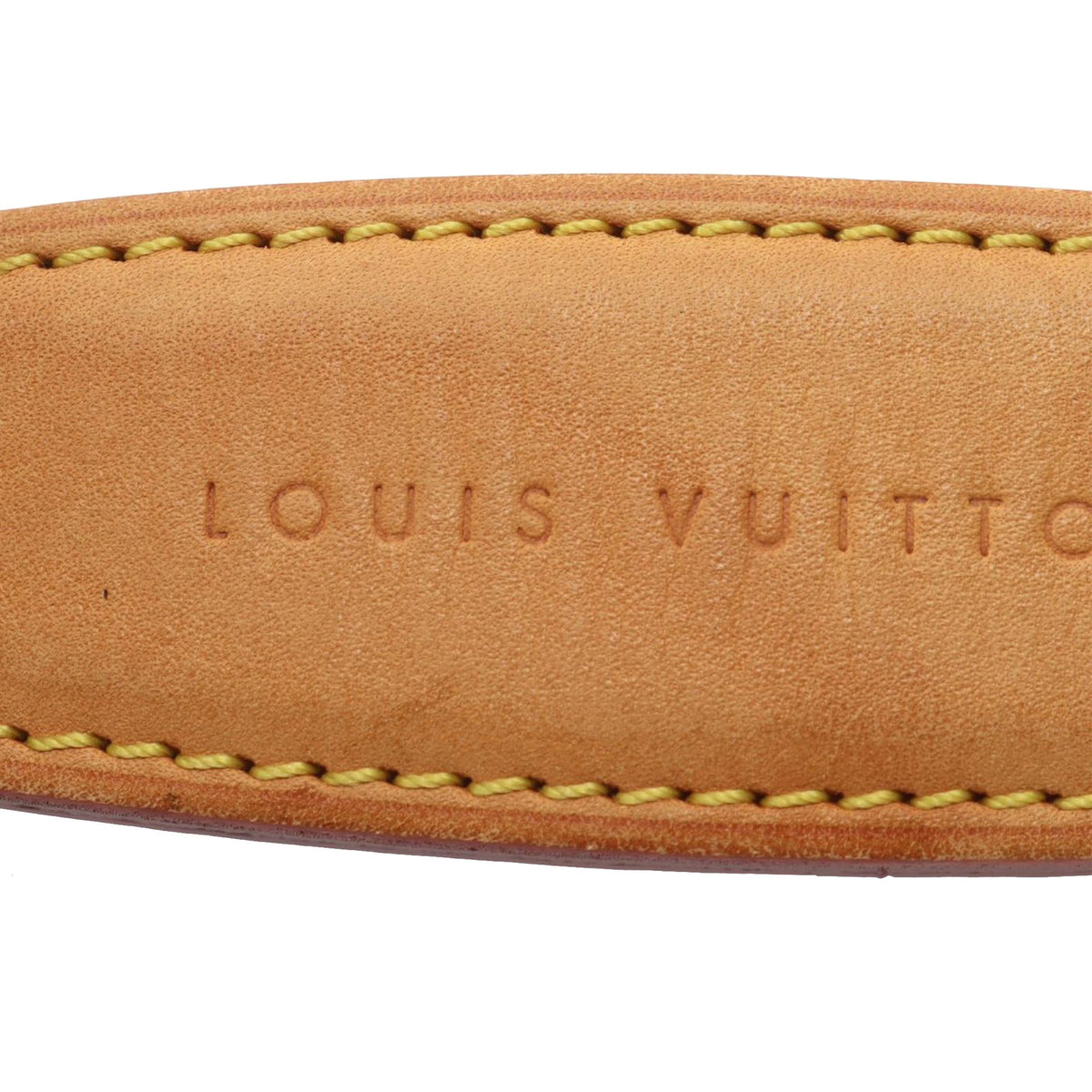 Louis Vuitton Monogram Tulum GM