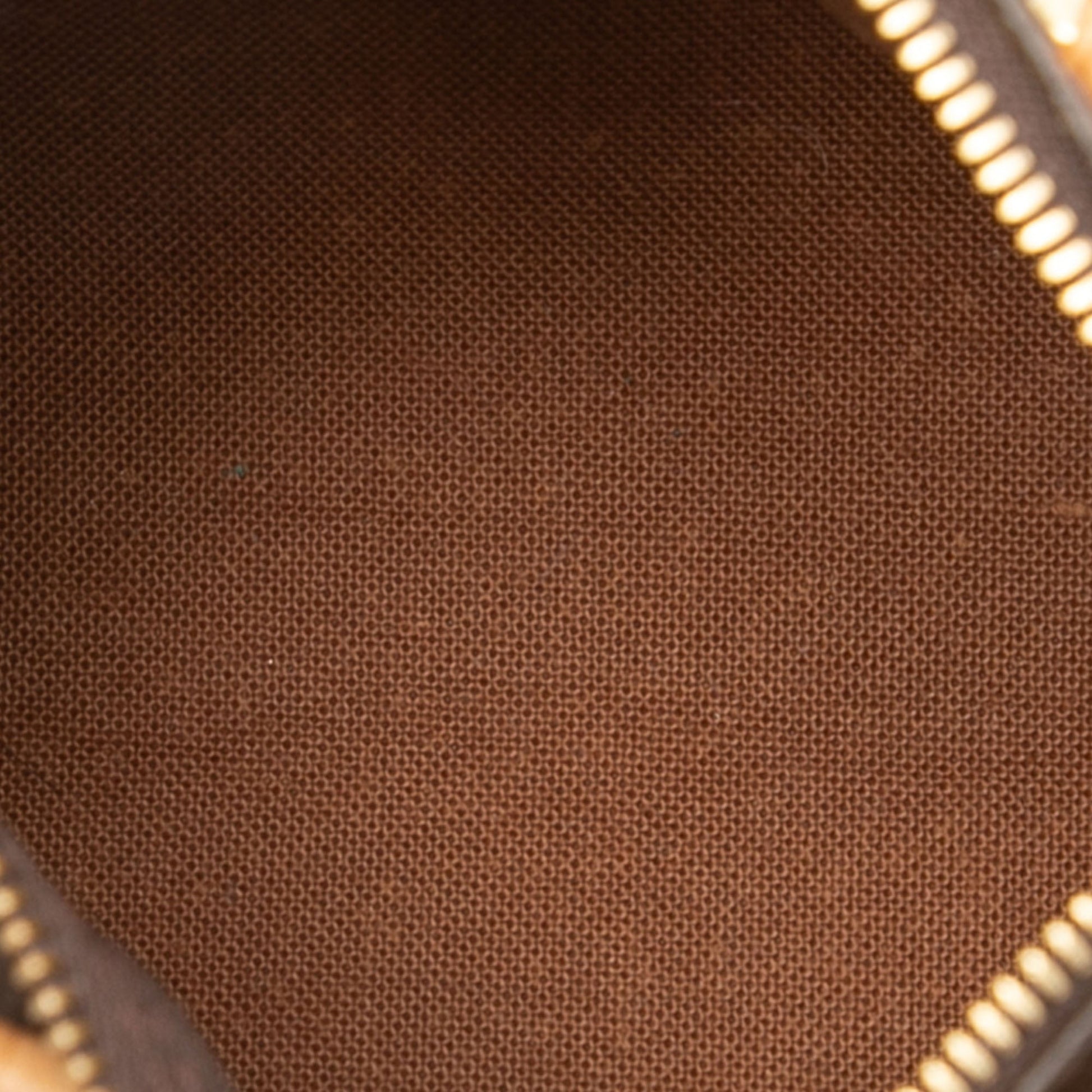 Louis Vuitton Monogram Mini Speedy HL