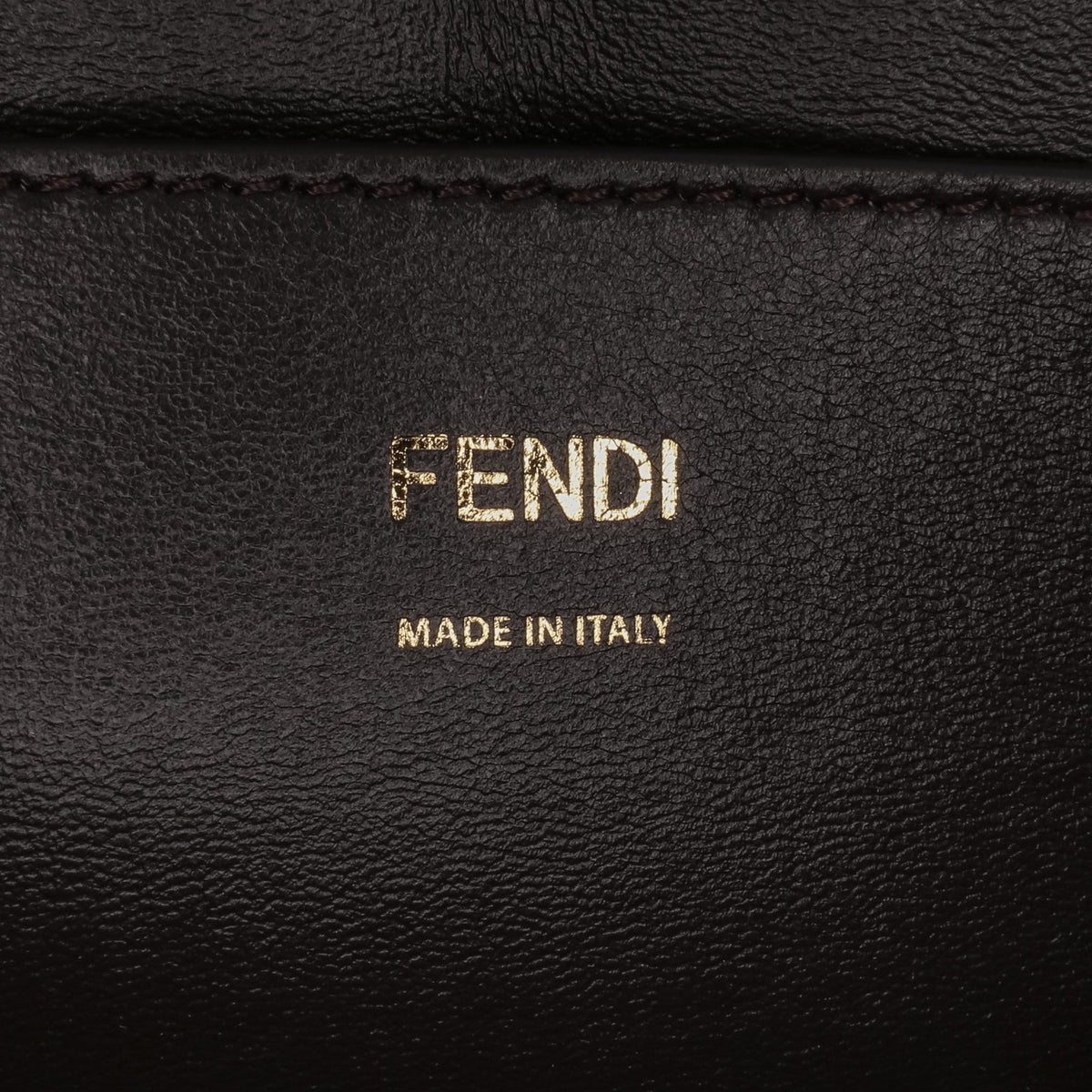 Fendi Calfskin Vitello King Nubuck Pequin Karligraphy Pocket Shoulder Bag