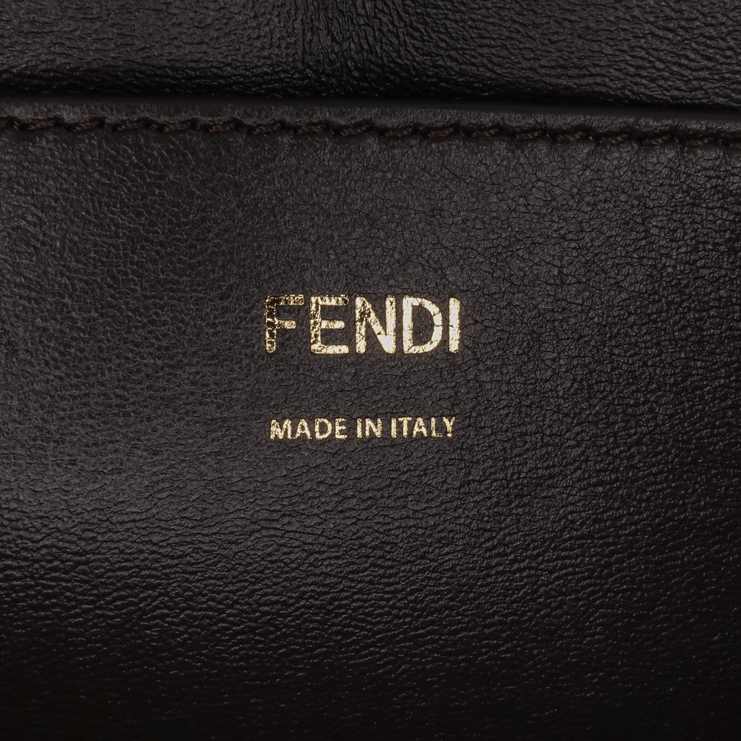 Fendi Calfskin Vitello King Nubuck Pequin Karligraphy Pocket Shoulder Bag