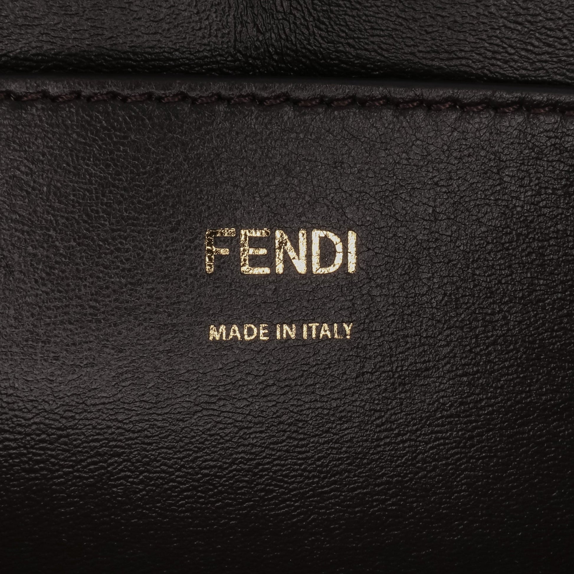 Fendi Calfskin Vitello King Nubuck Pequin Karligraphy Pocket Shoulder Bag
