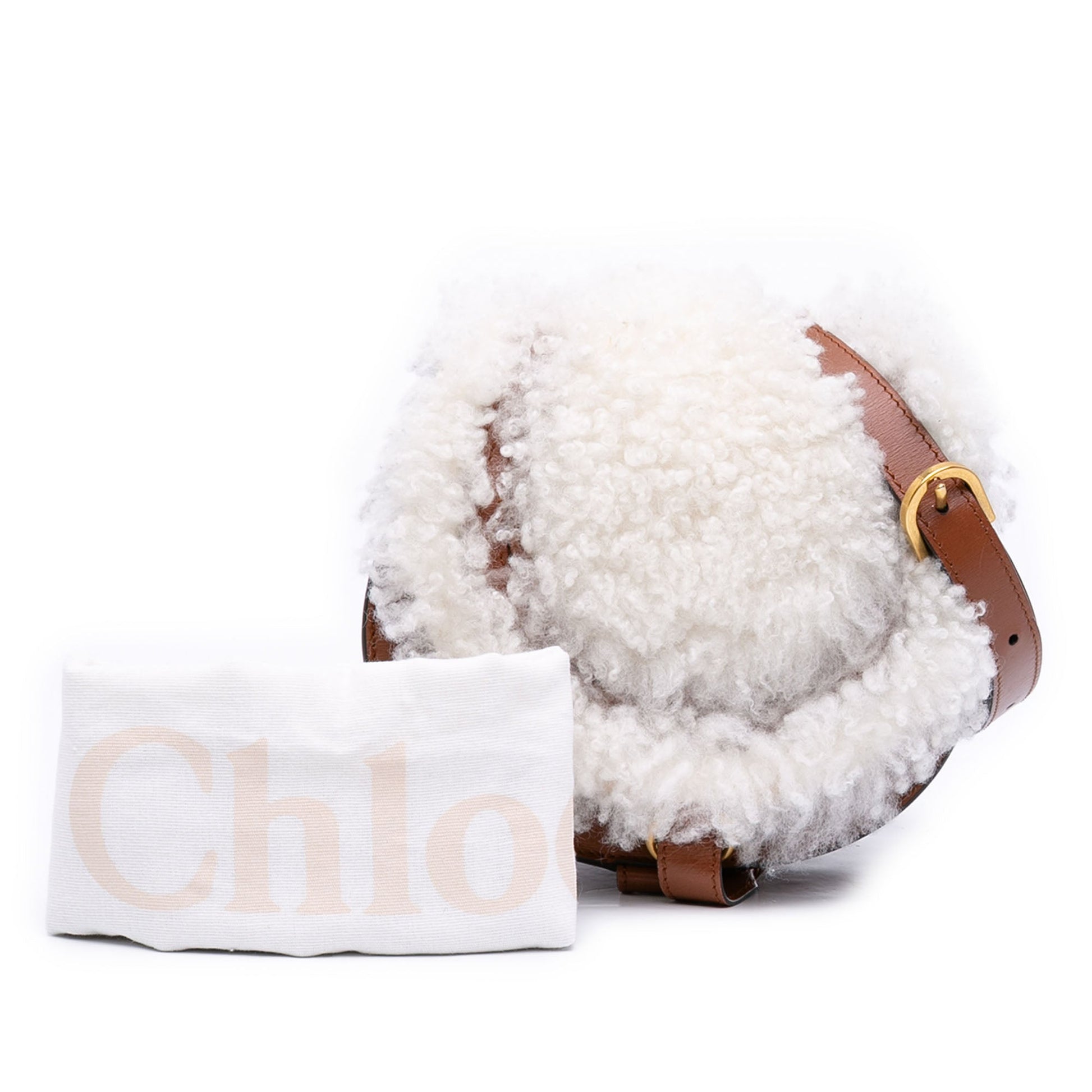 Chloé Mini Shearling and Calfskin Marcie Saddle Crossbody