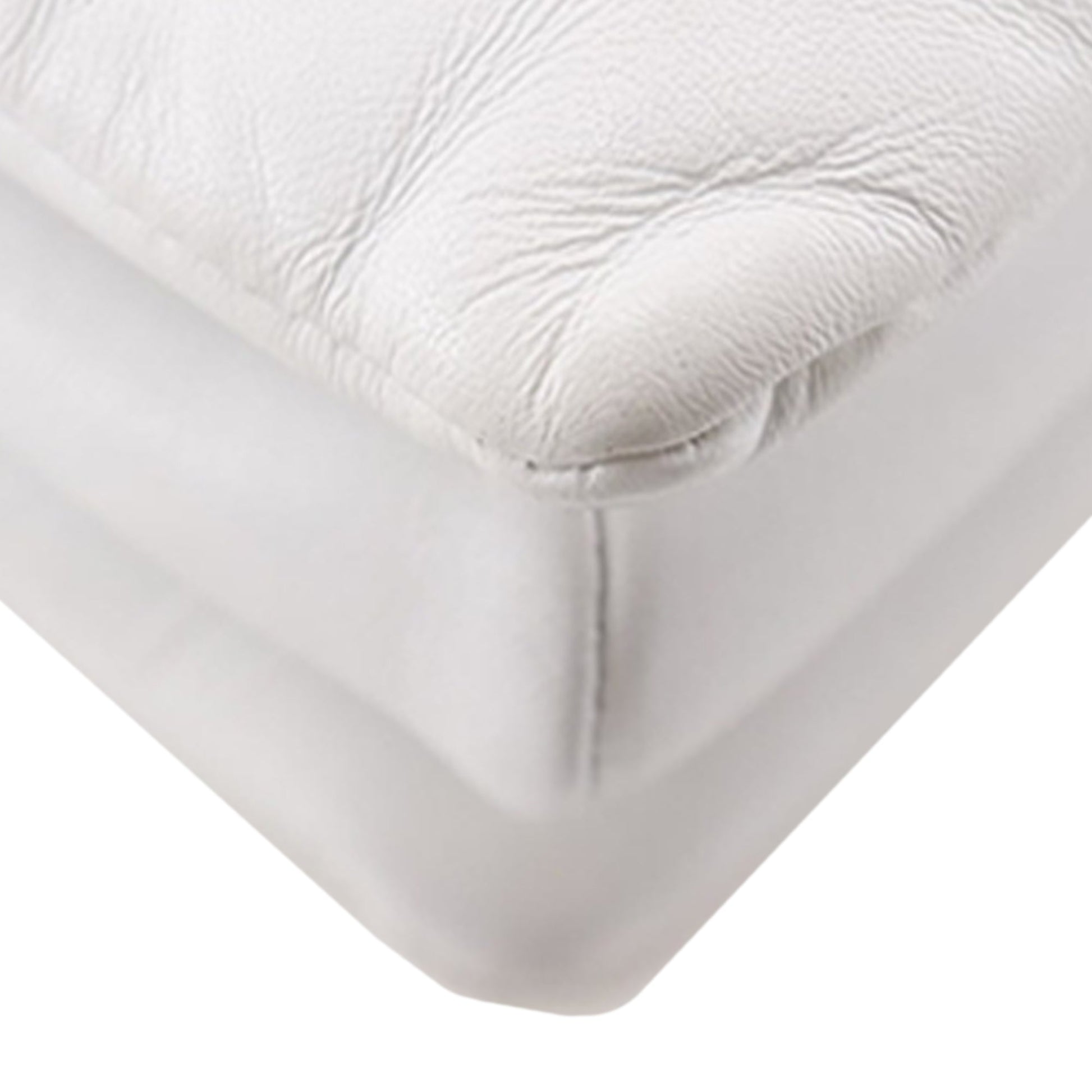 Tricolor Monogram Embossed Puffy Lambskin Coussin PM