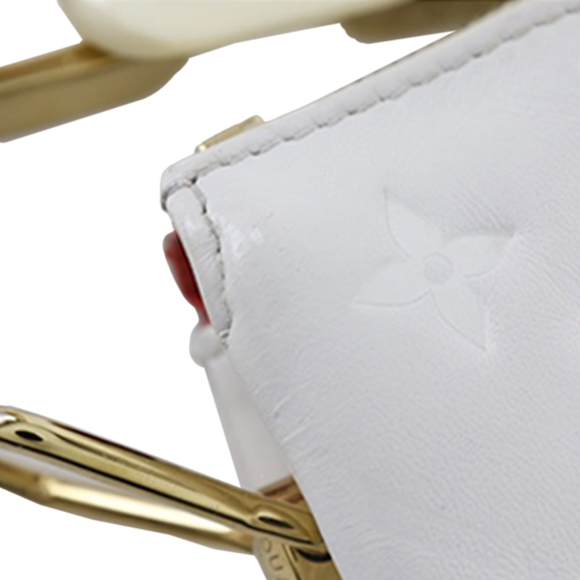Tricolor Monogram Embossed Puffy Lambskin Coussin PM