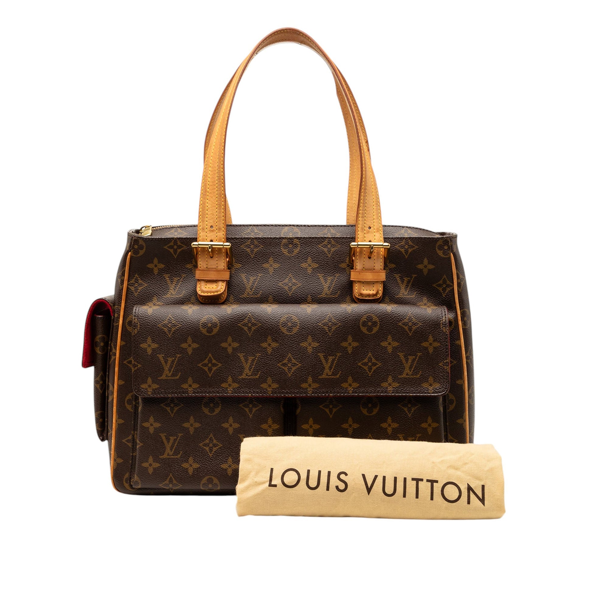 Louis Vuitton Monogram Multipli Cite