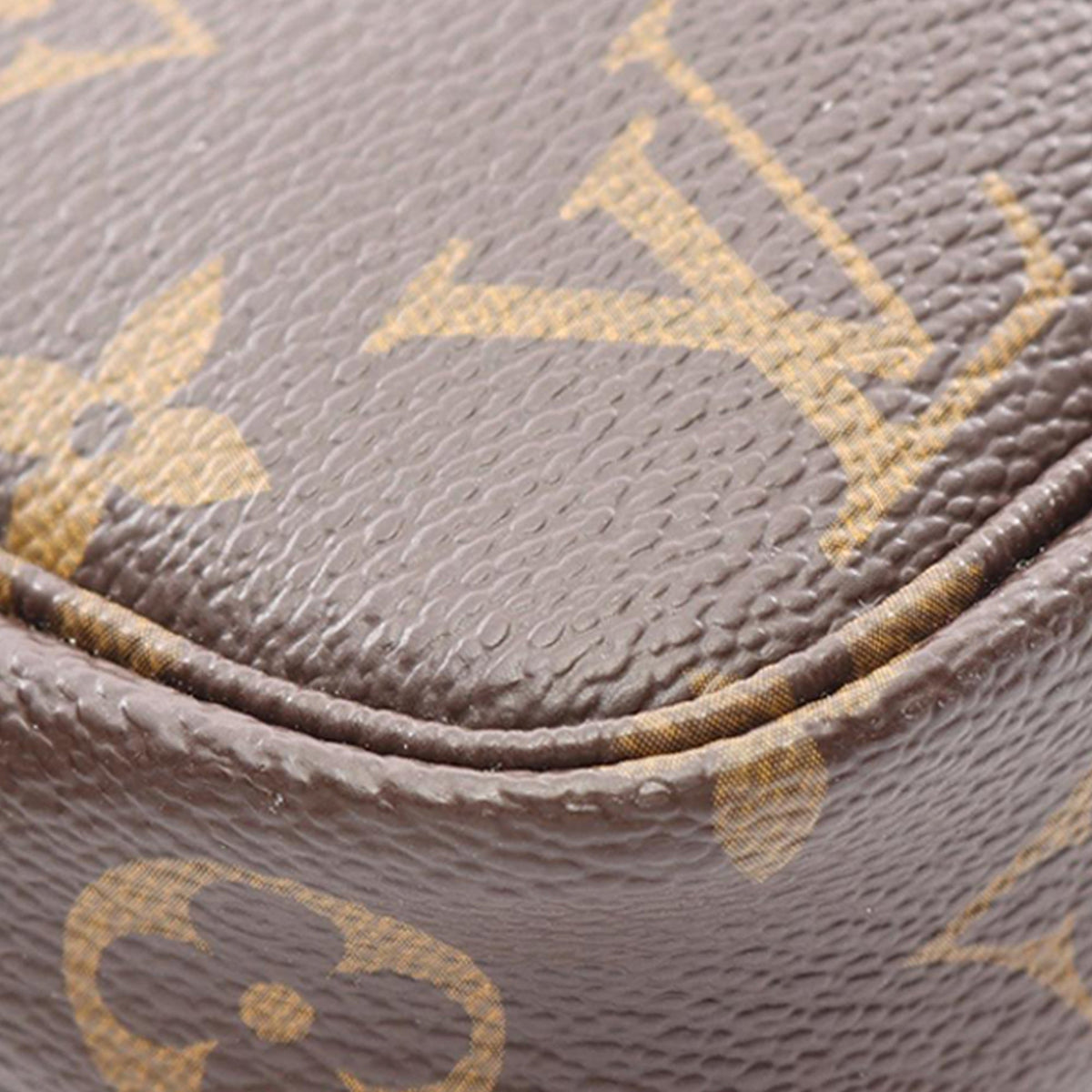 Louis Vuitton Monogram Pochette Accessoires