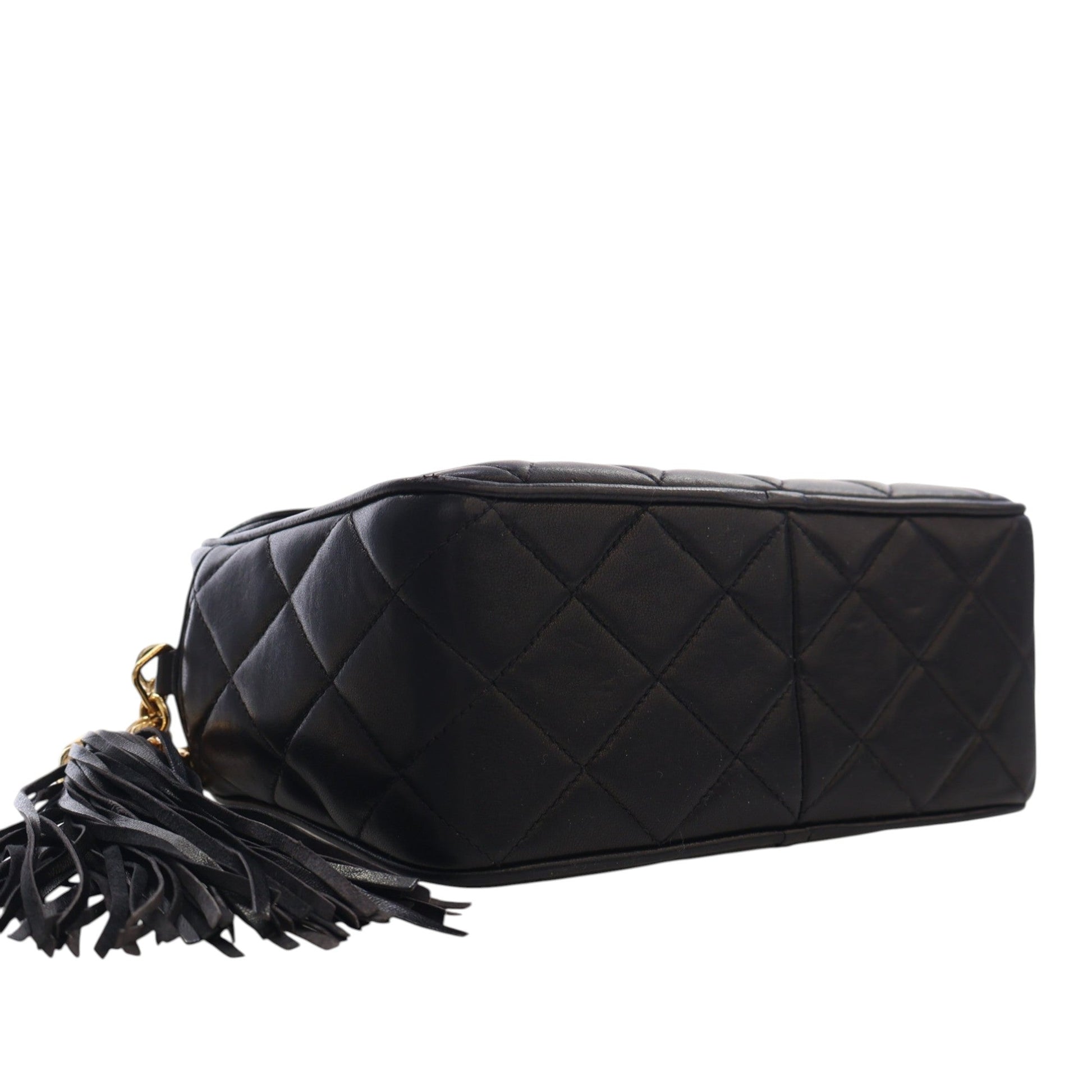 Chanel Small Quilted Lambskin Diana Tassel Camera Bag