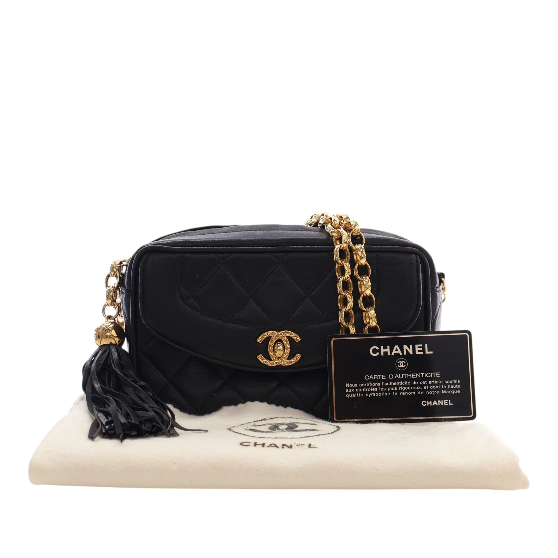 Chanel Small Quilted Lambskin Diana Tassel Camera Bag