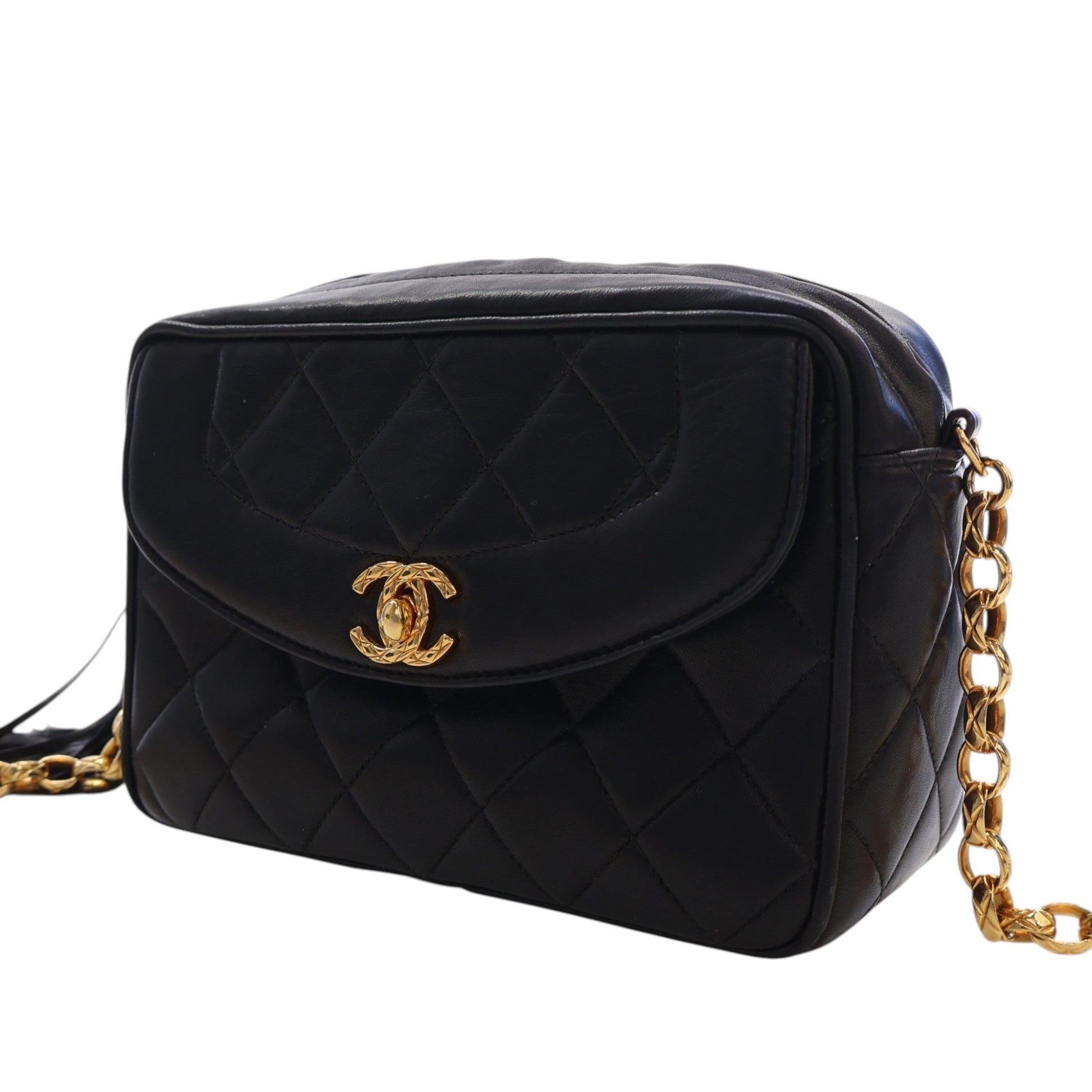 Chanel Small Quilted Lambskin Diana Tassel Camera Bag