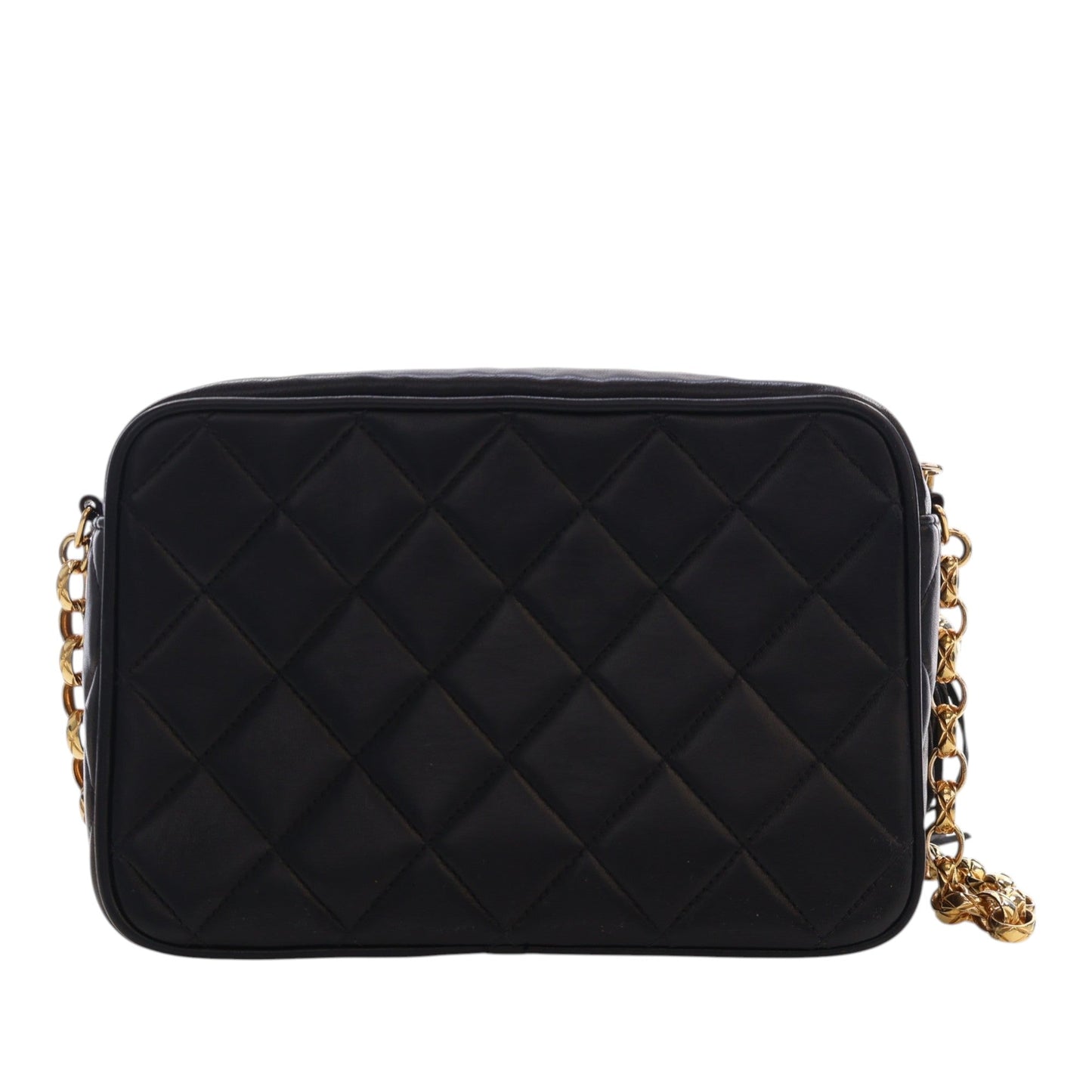 Chanel Small Quilted Lambskin Diana Tassel Camera Bag