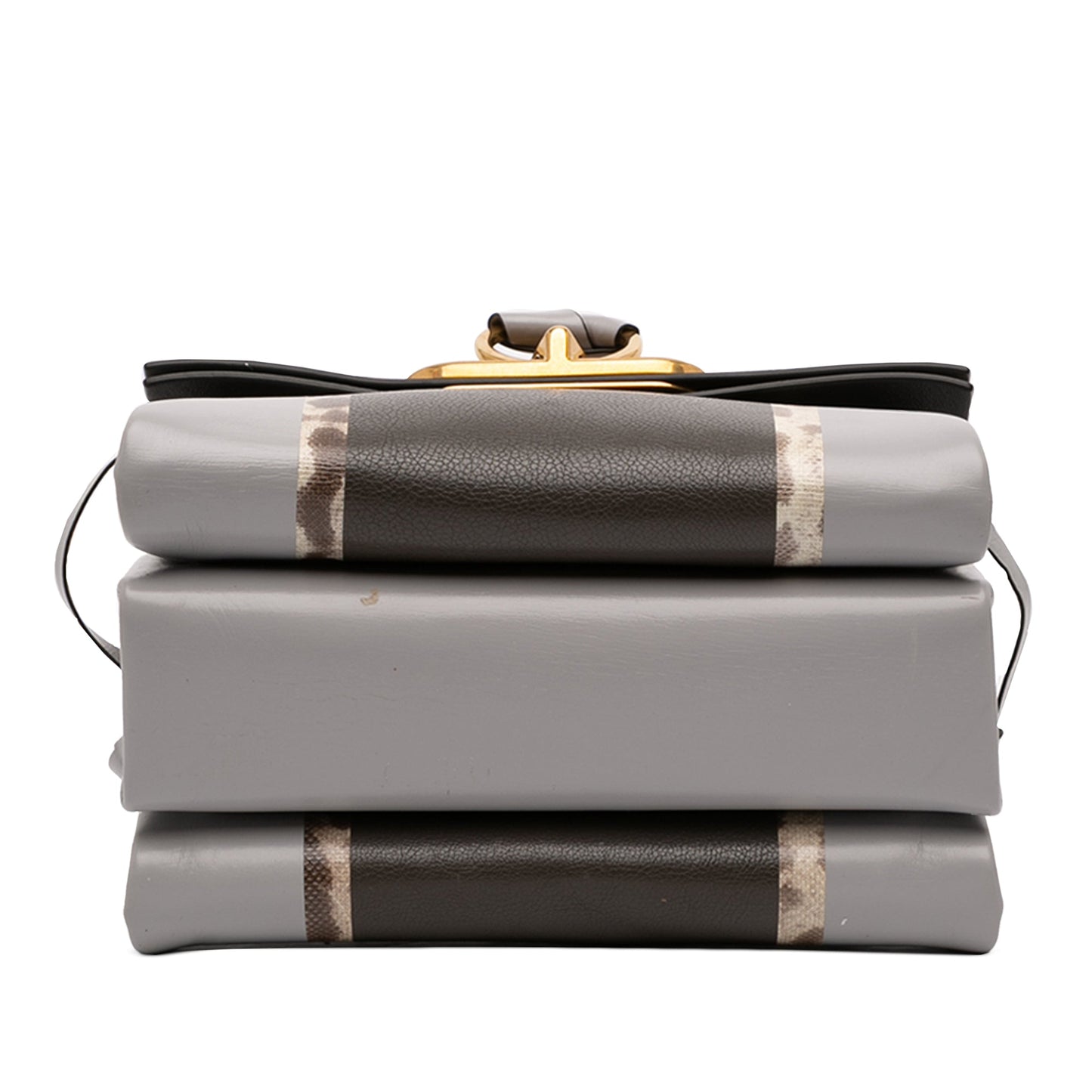 Valentino Small Watersnake Trimmed Colorblock Calfskin Vring Shoulder Bag