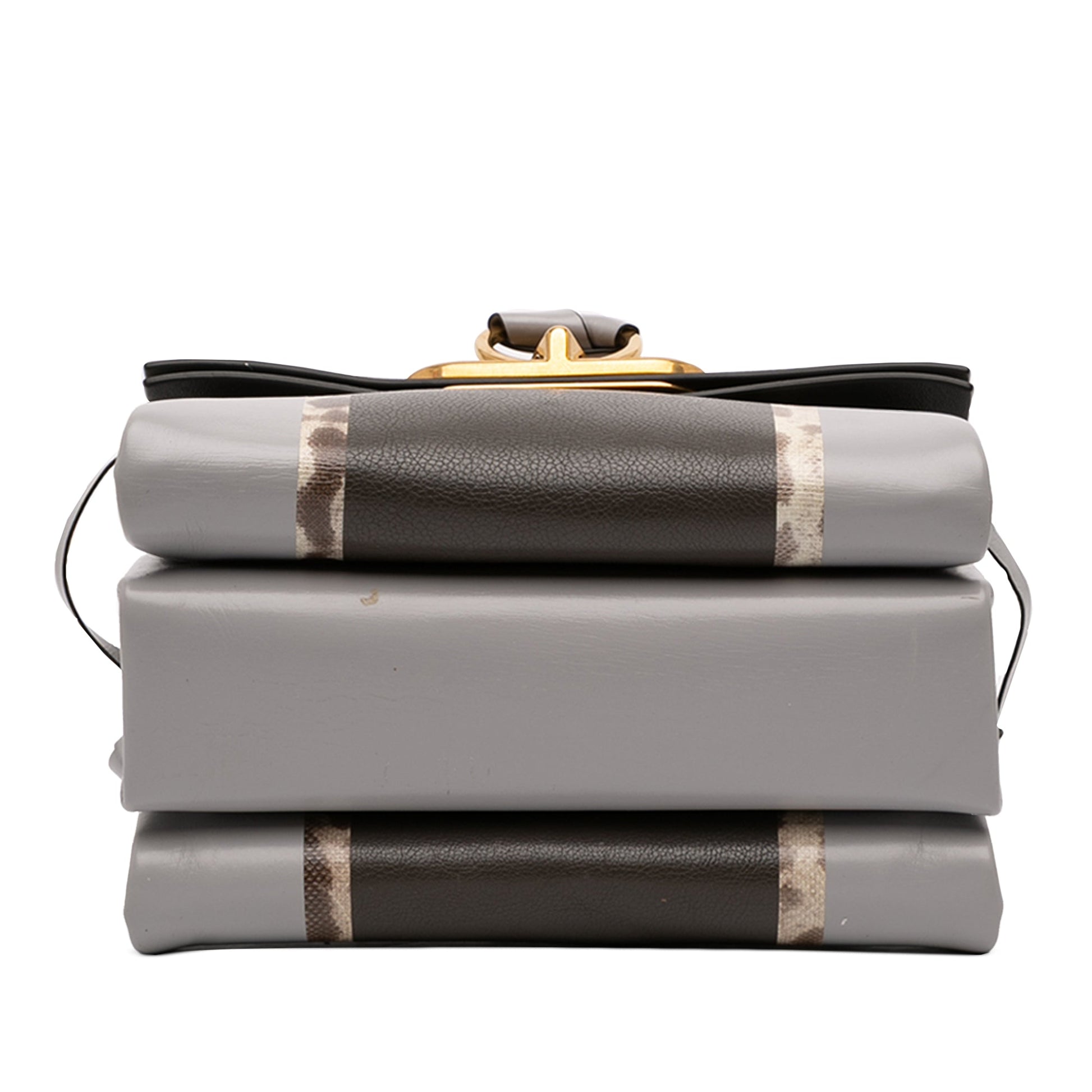 Valentino Small Watersnake Trimmed Colorblock Calfskin Vring Shoulder Bag
