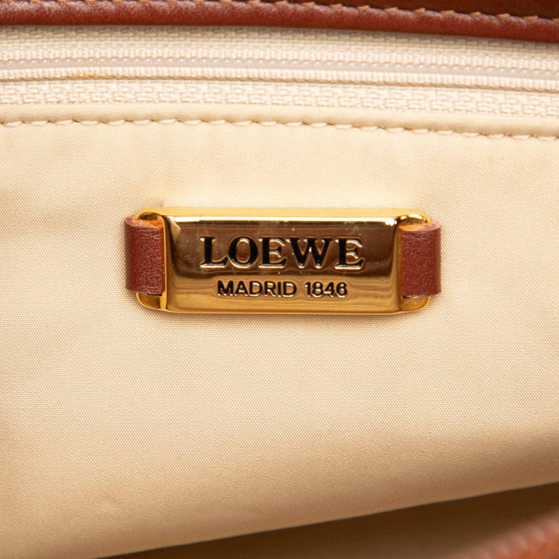LOEWE Croc Embossed Leather Trimmed Mesh Anagram Satchel