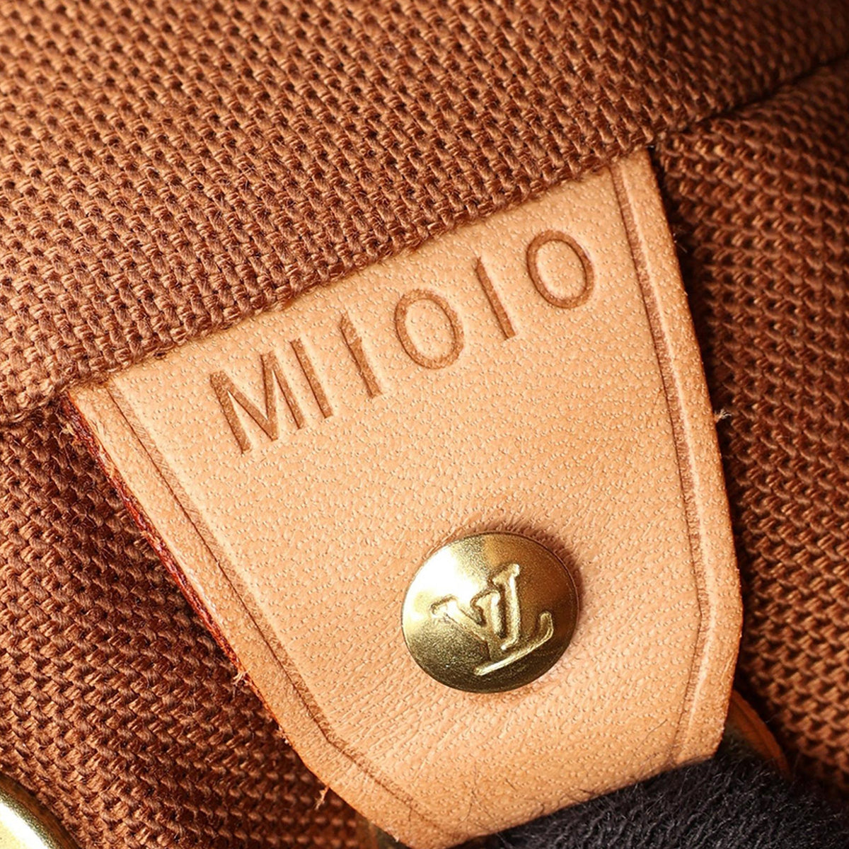 Louis Vuitton Monogram Montsouris GM — Brown