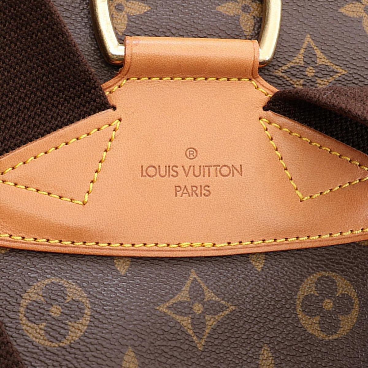 Louis Vuitton Monogram Montsouris GM — Brown