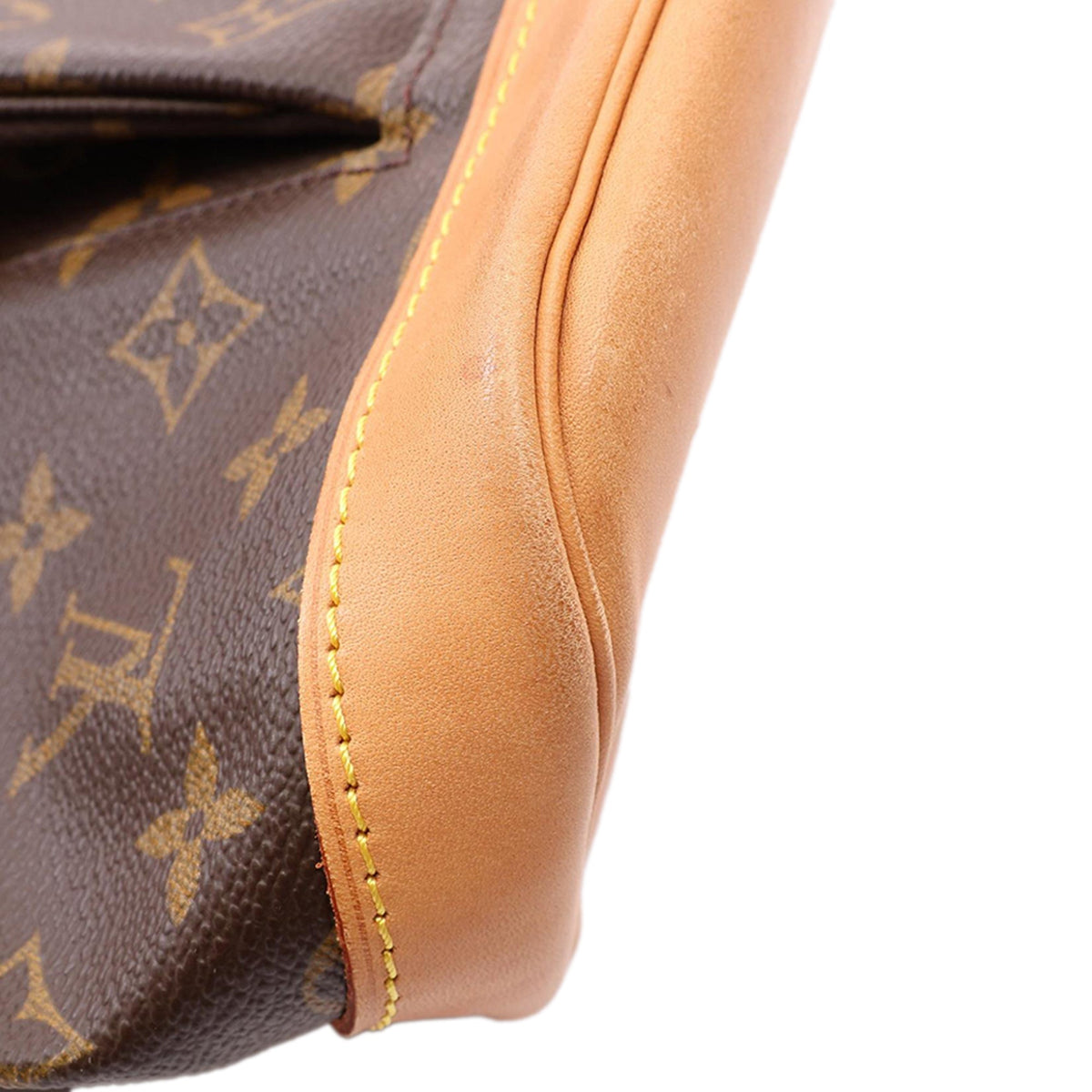 Louis Vuitton Monogram Montsouris GM — Brown