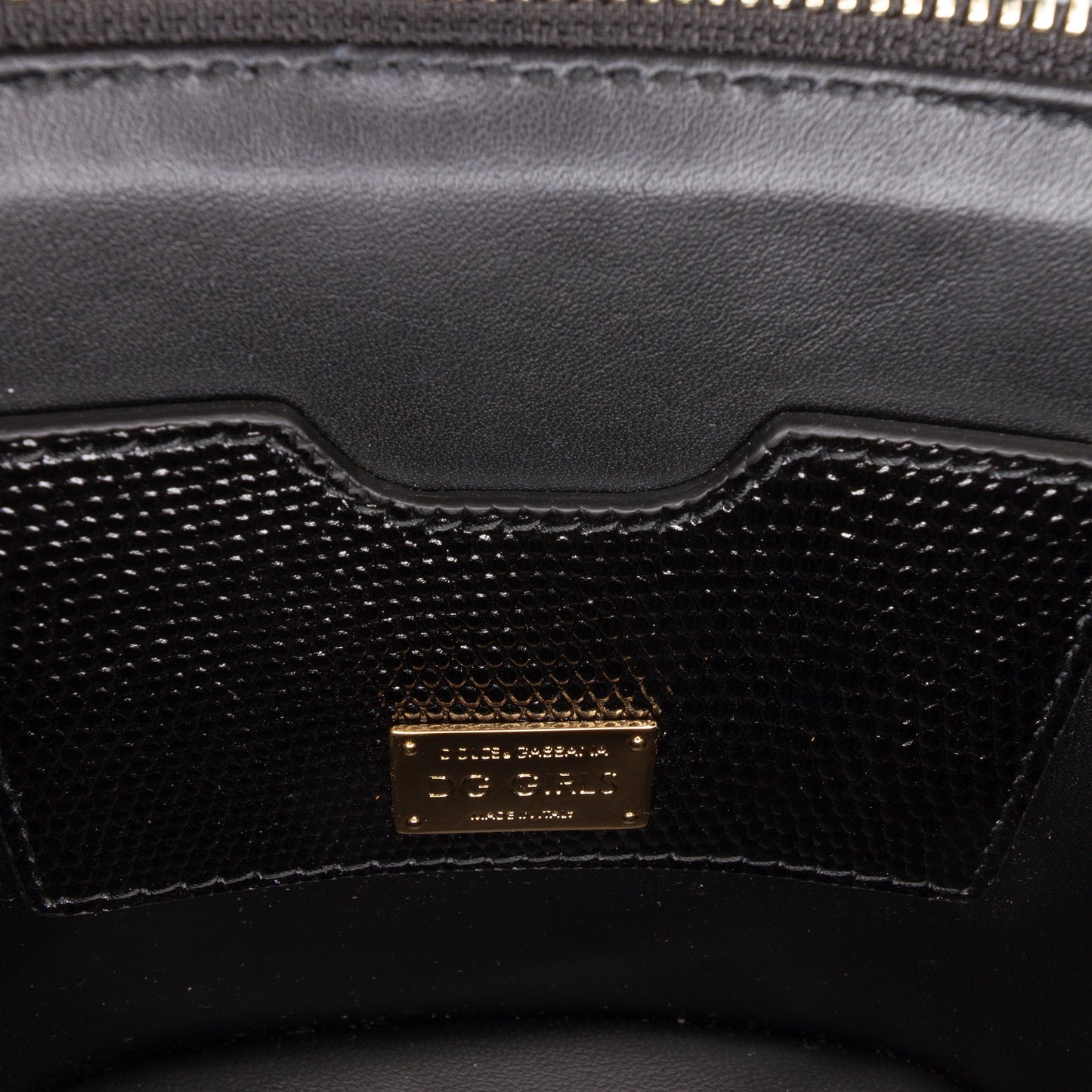 Dolce & Gabbana Floral Embroidered Raffia and Lizard Embossed Calfskin DG Girls Vanity Bag