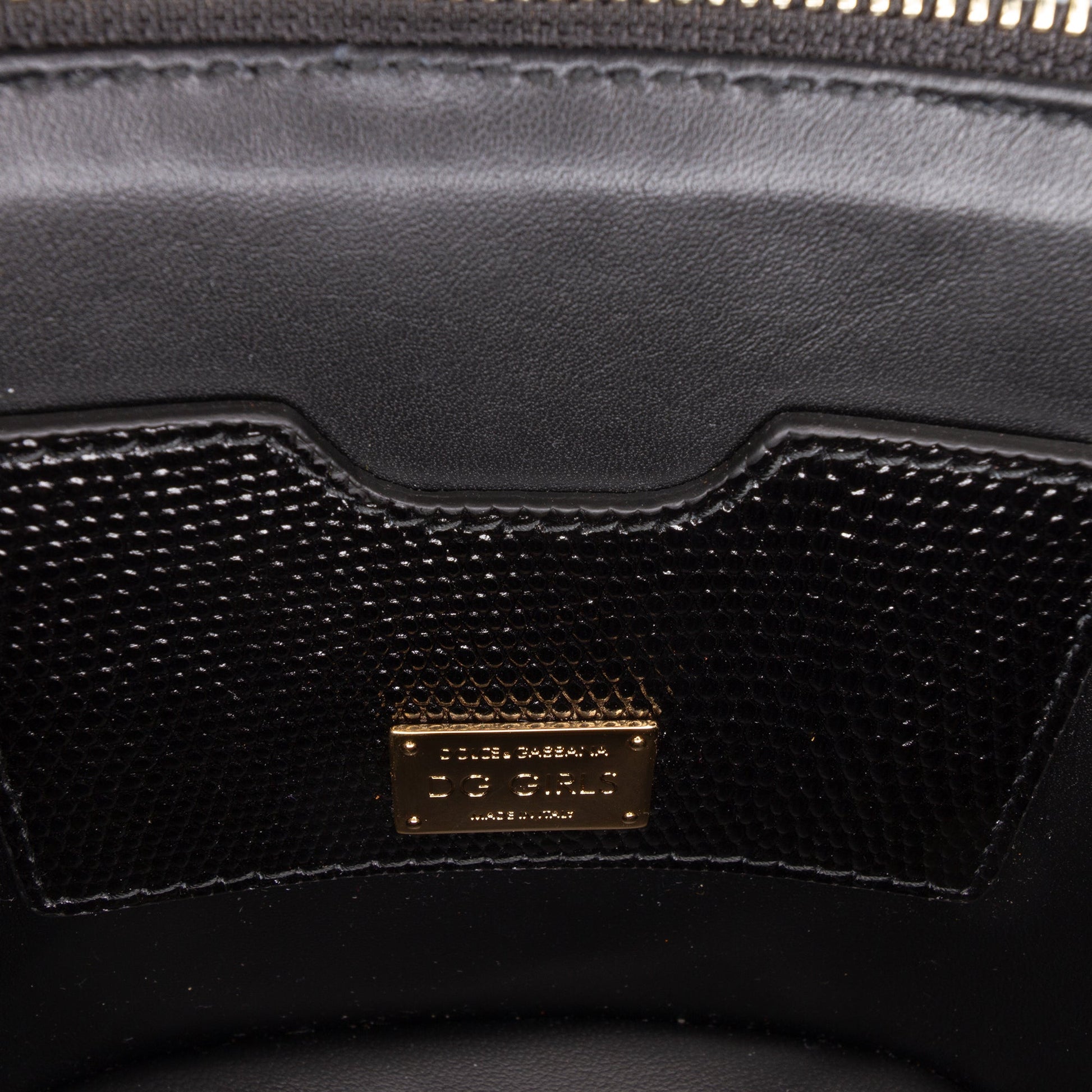 Dolce & Gabbana Floral Embroidered Raffia and Lizard Embossed Calfskin DG Girls Vanity Bag