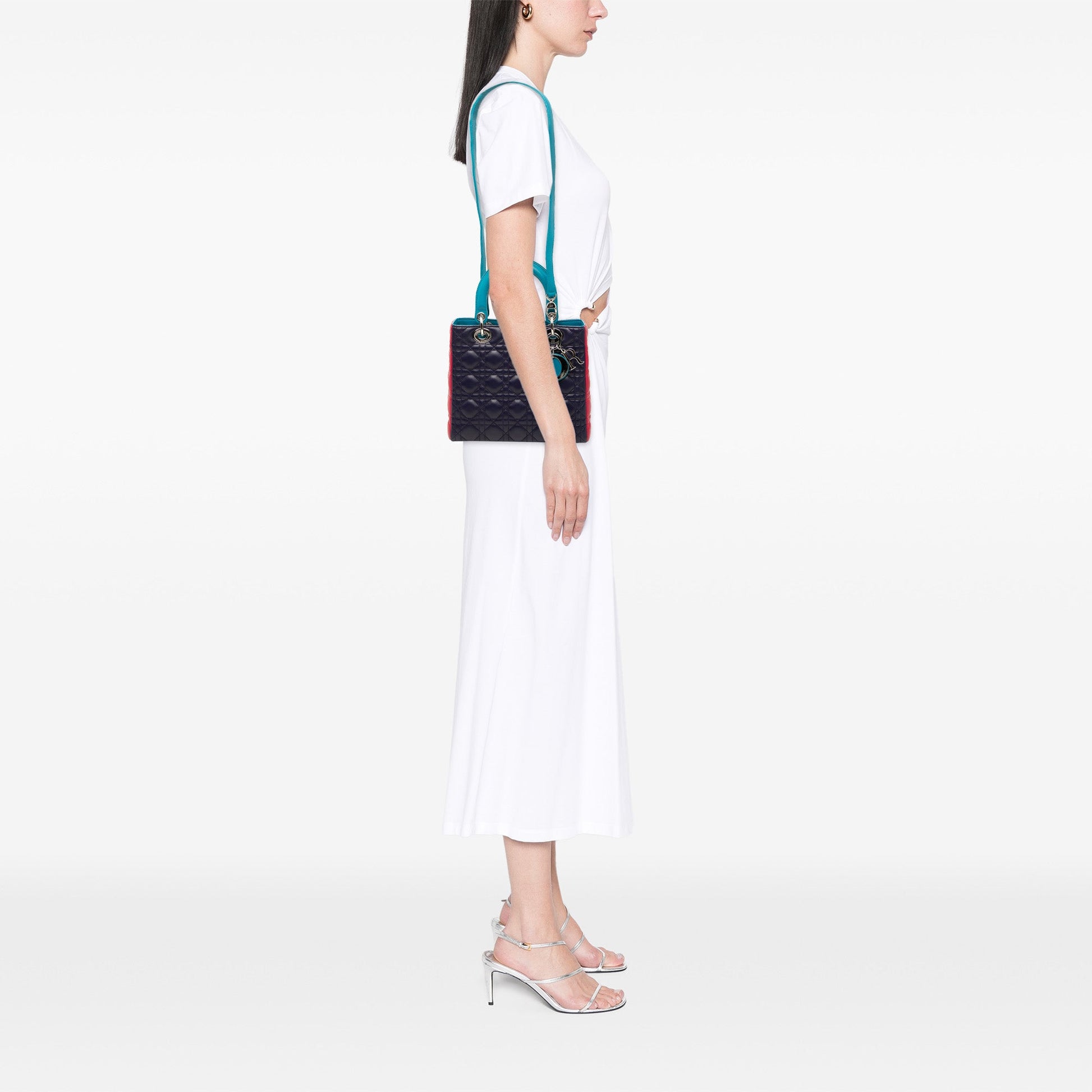 Dior Medium Tricolor Lambskin Cannage Lady Dior