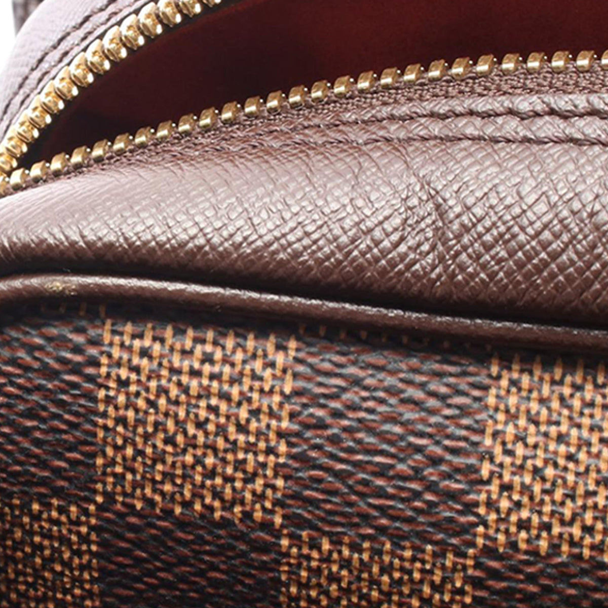 Louis Vuitton Damier Ebene Triana