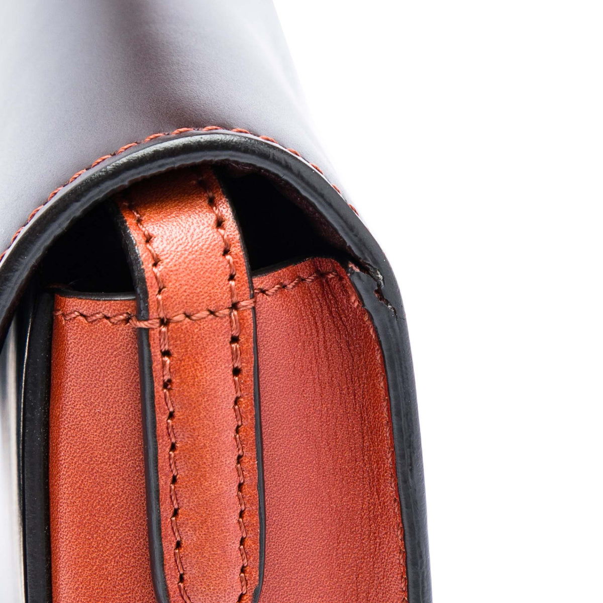 Celine Small Bicolor Glazed Calfskin Trotteur Crossbody