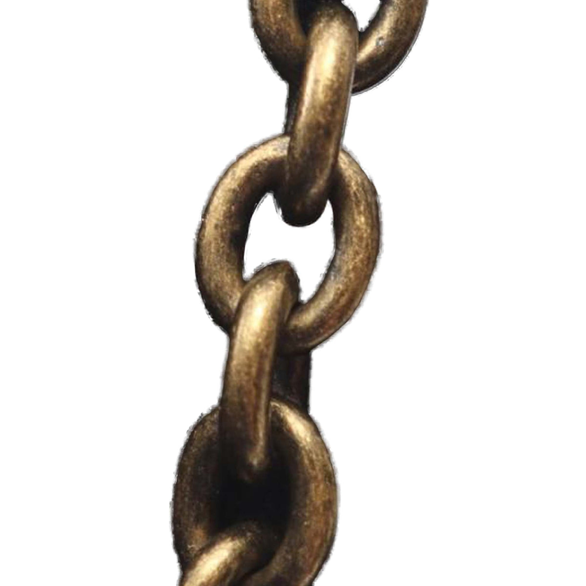 Bottega Veneta Leather Wallet on Chain