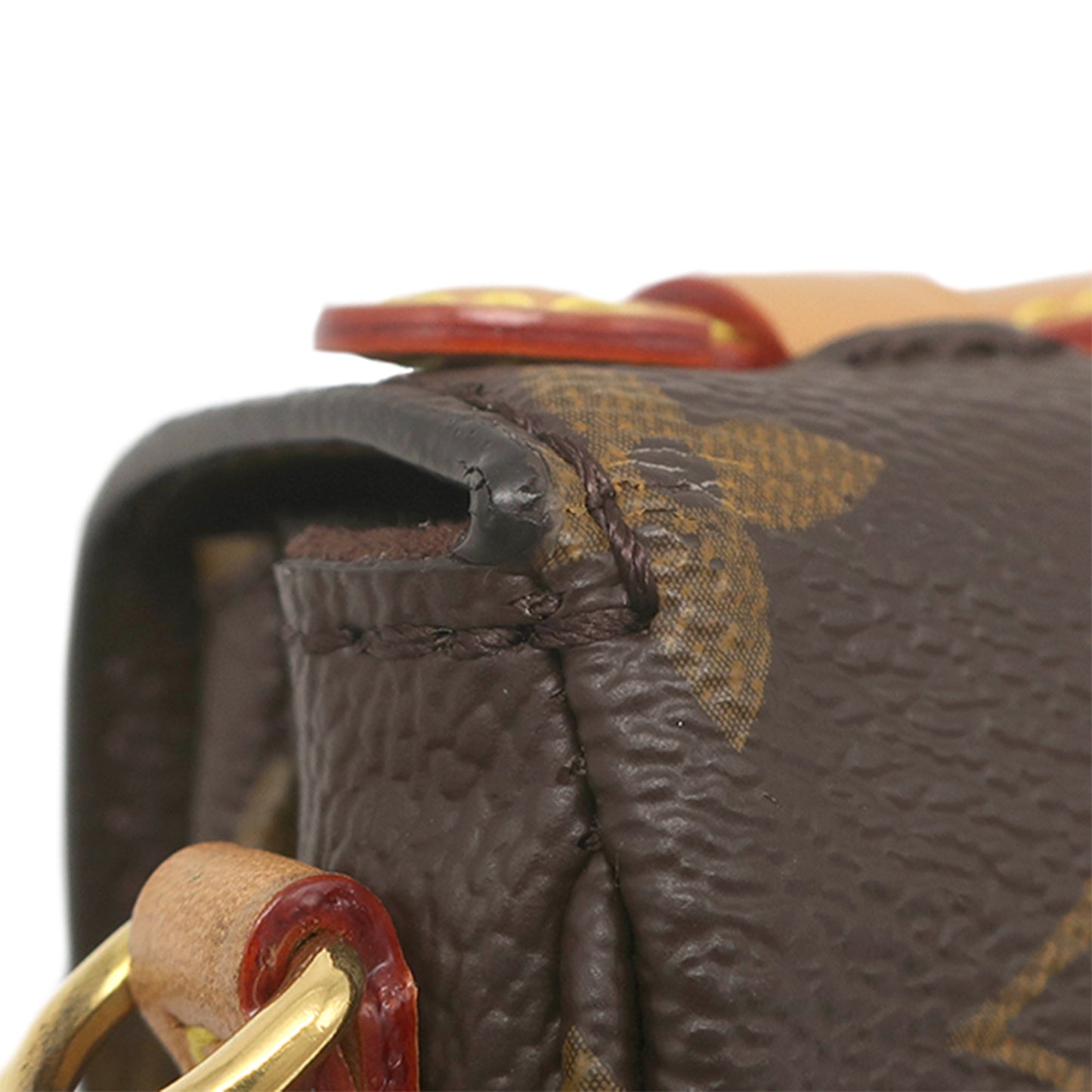 Louis Vuitton Monogram Micro Metis