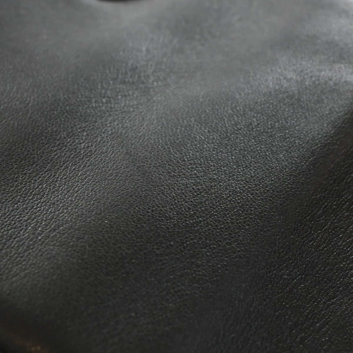 Chanel Medium Lambskin 19 Flap