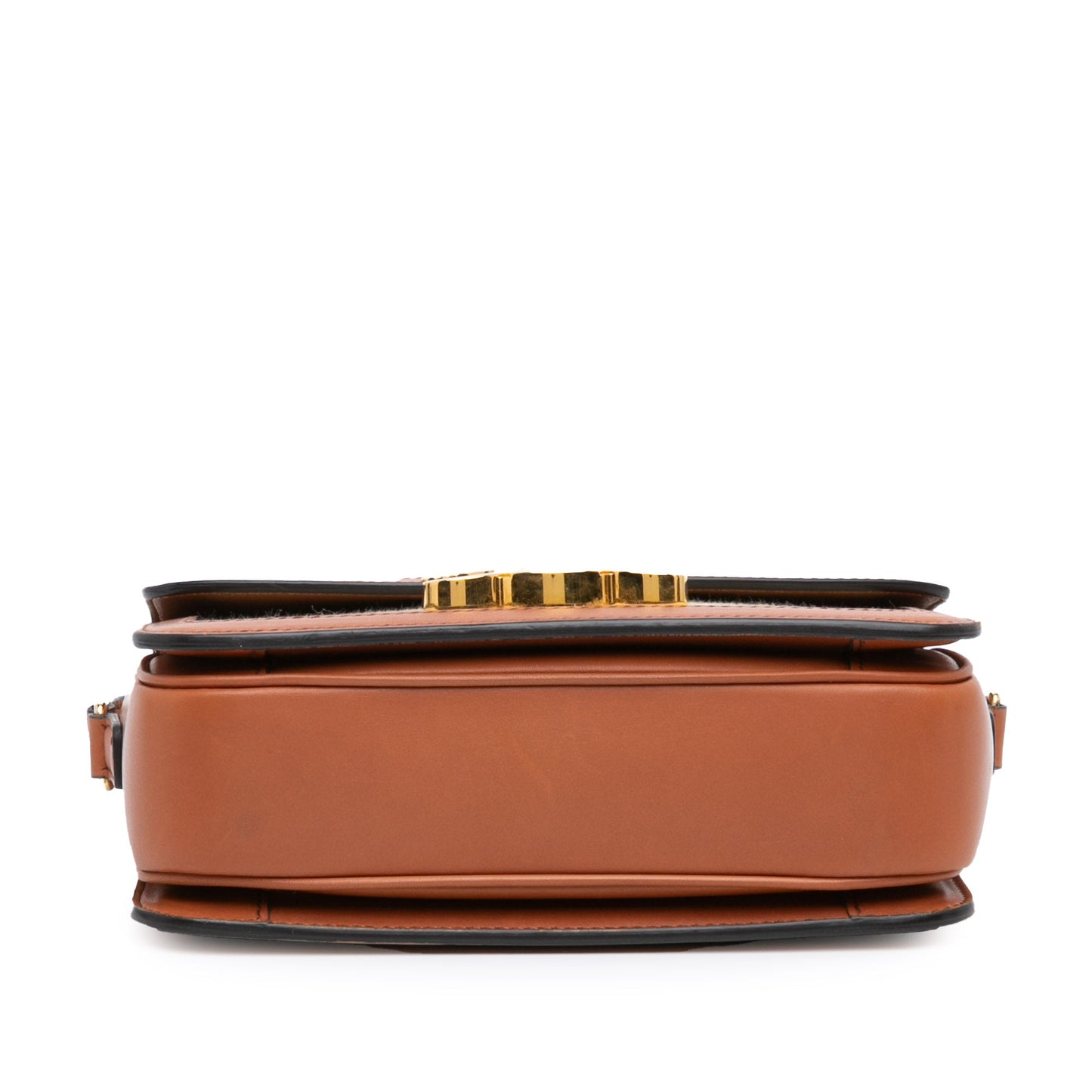 Celine Teen Canvas and Calfskin Triomphe Crossbody