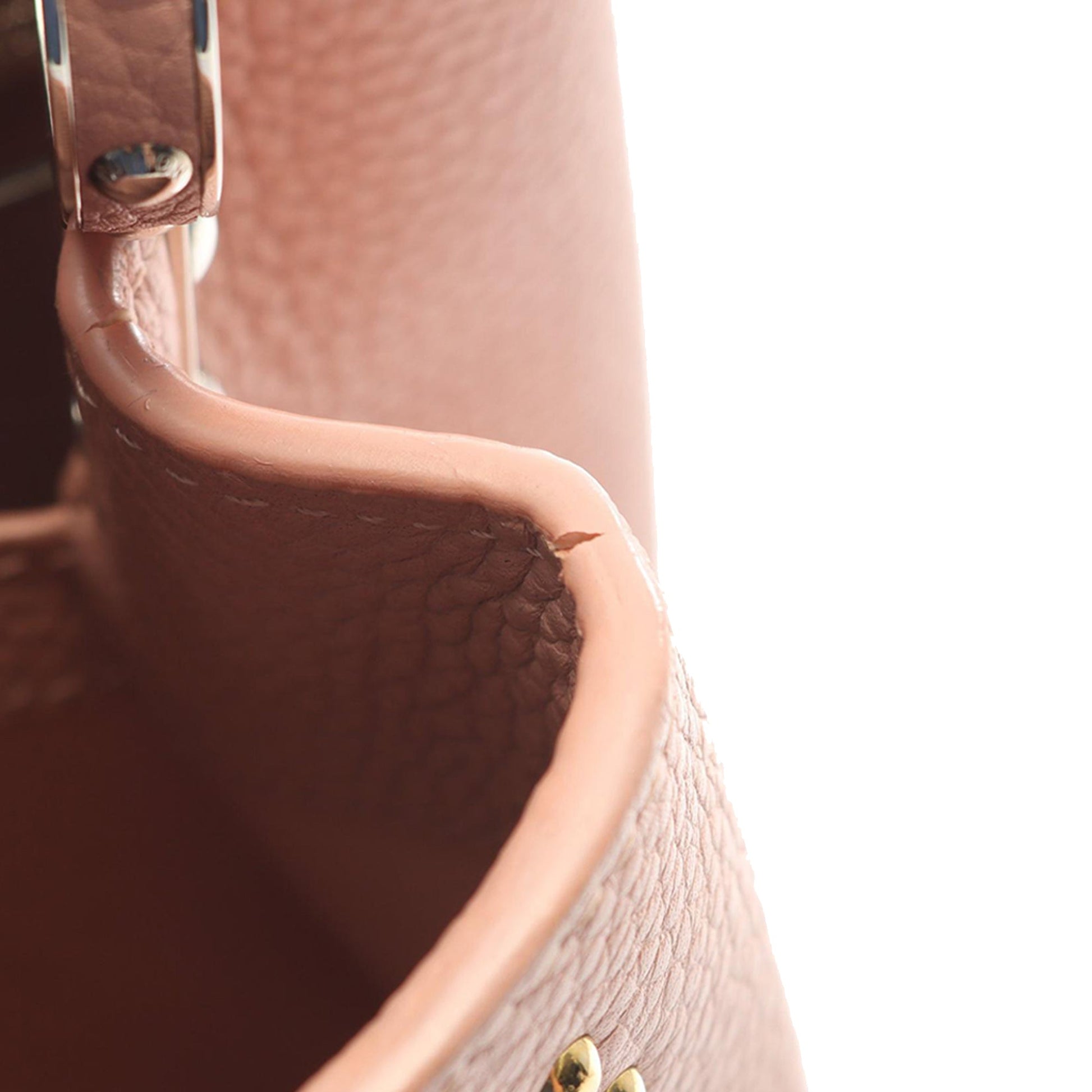 Louis Vuitton Taurillon Mechanical Flowers Capucines BB