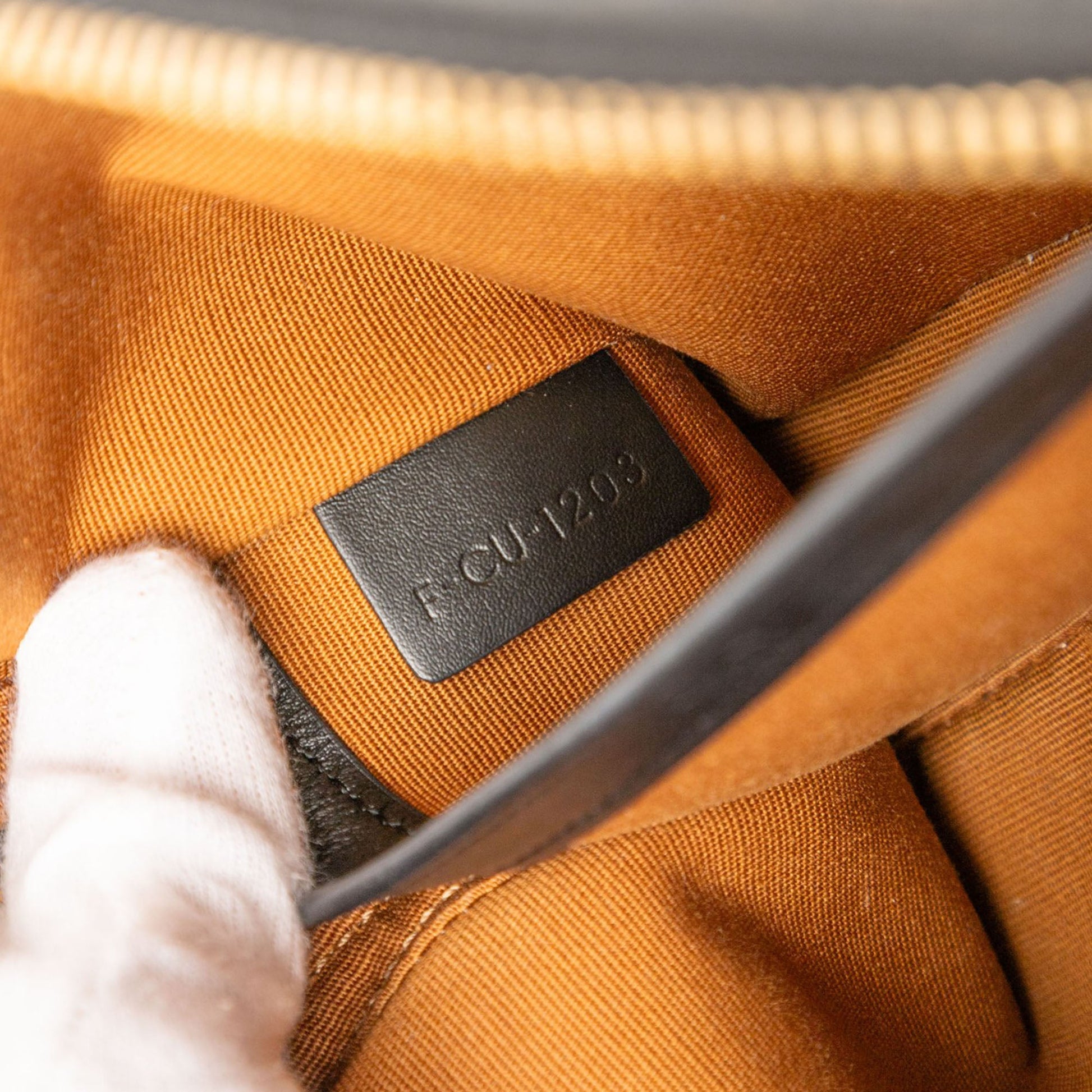 Celine Medium Triomphe Coated Canvas Logo Crossbody