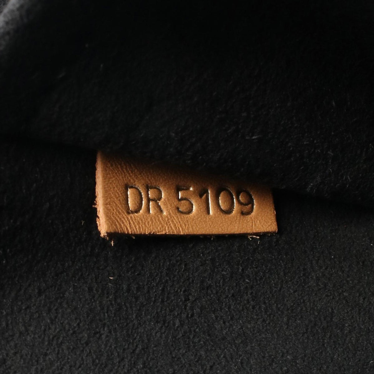 Louis Vuitton Monogram Moon Backpack