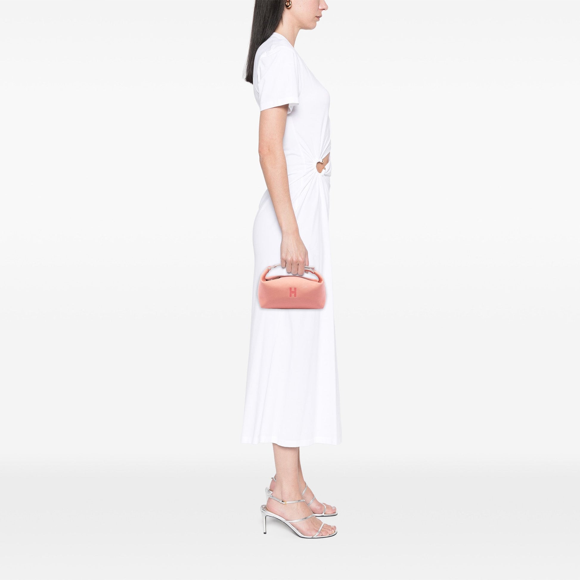 Hermès Small Toile Bride A Brac Case