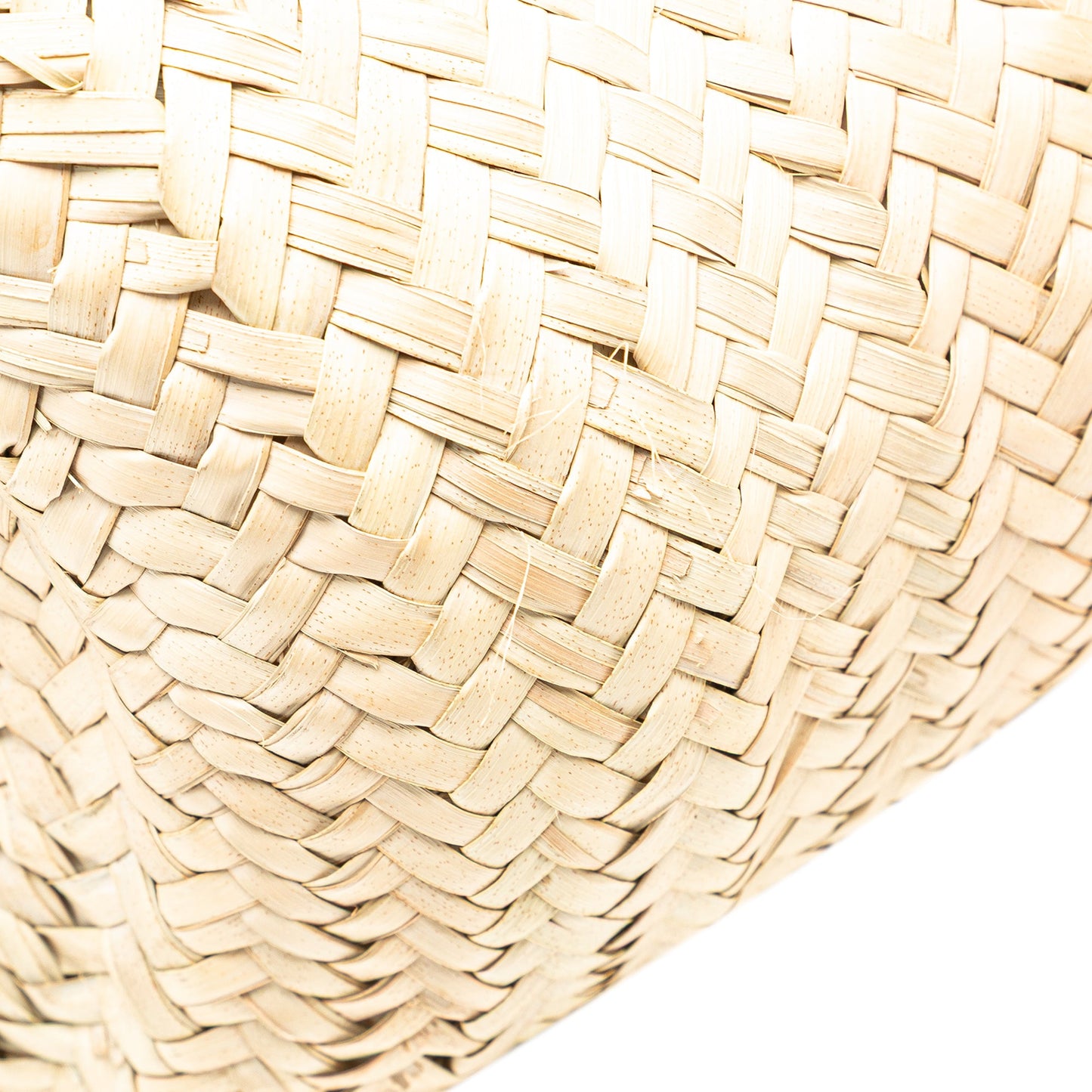 Celine Andre Butzer Large Raffia Classic Wanderer Embroidered Shopping Tote