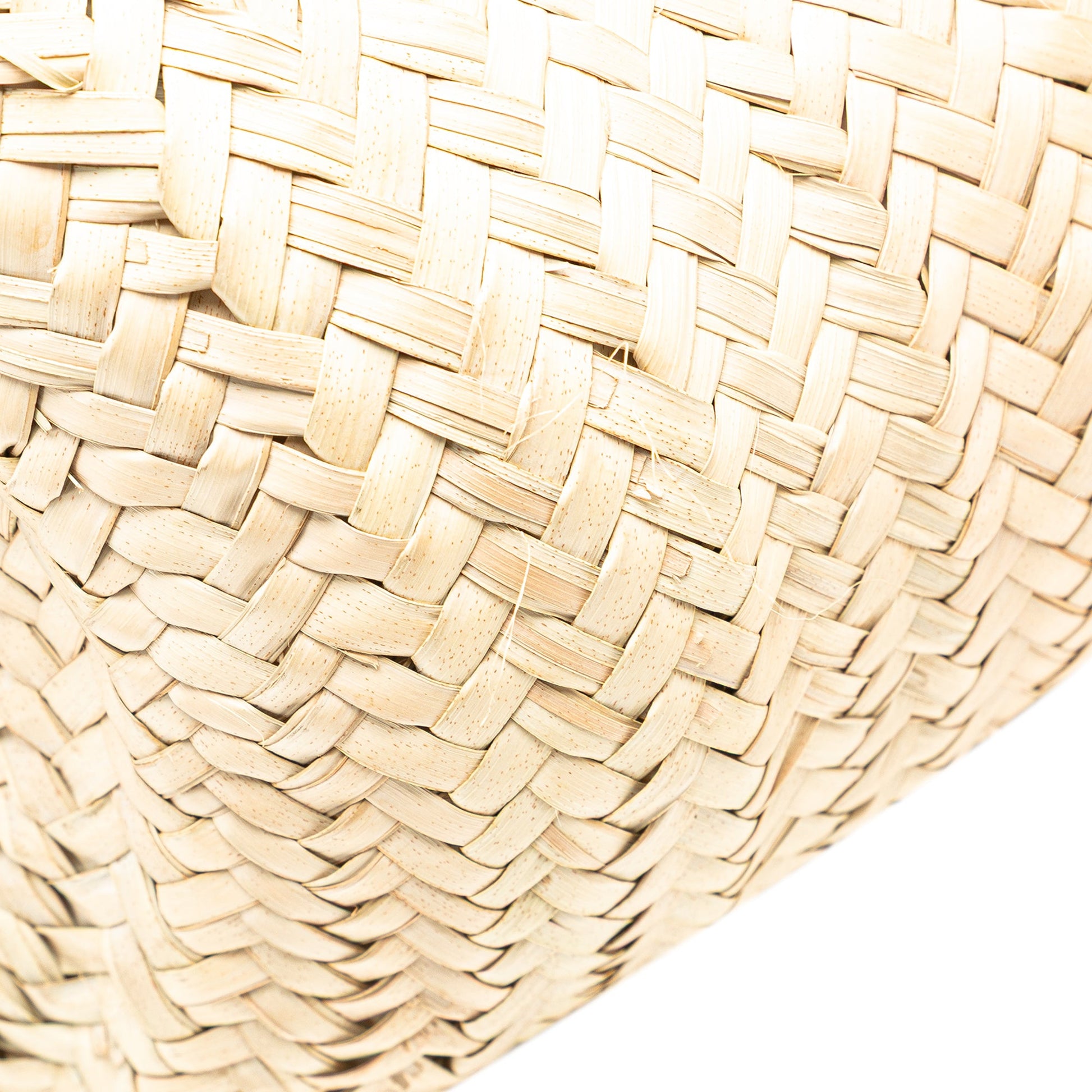 Celine Andre Butzer Large Raffia Classic Wanderer Embroidered Shopping Tote