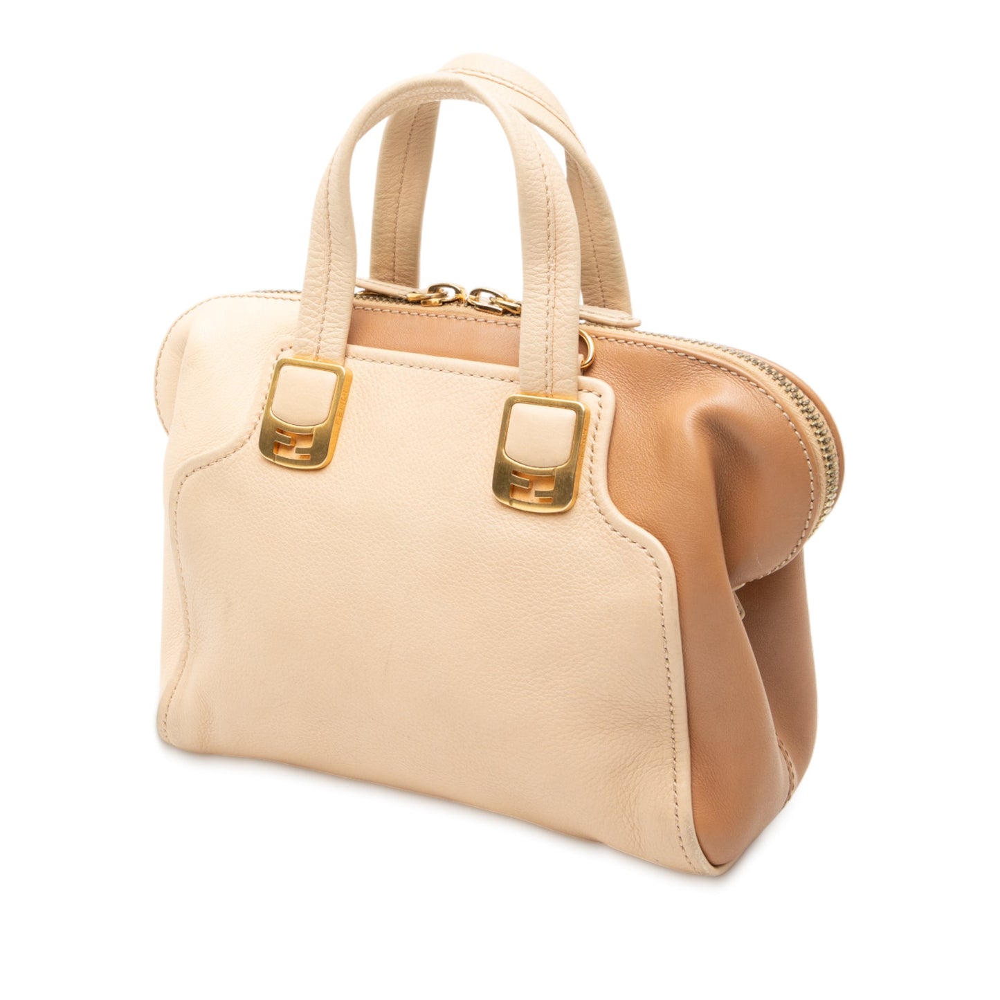 Small Tricolor Leather Chameleon Satchel