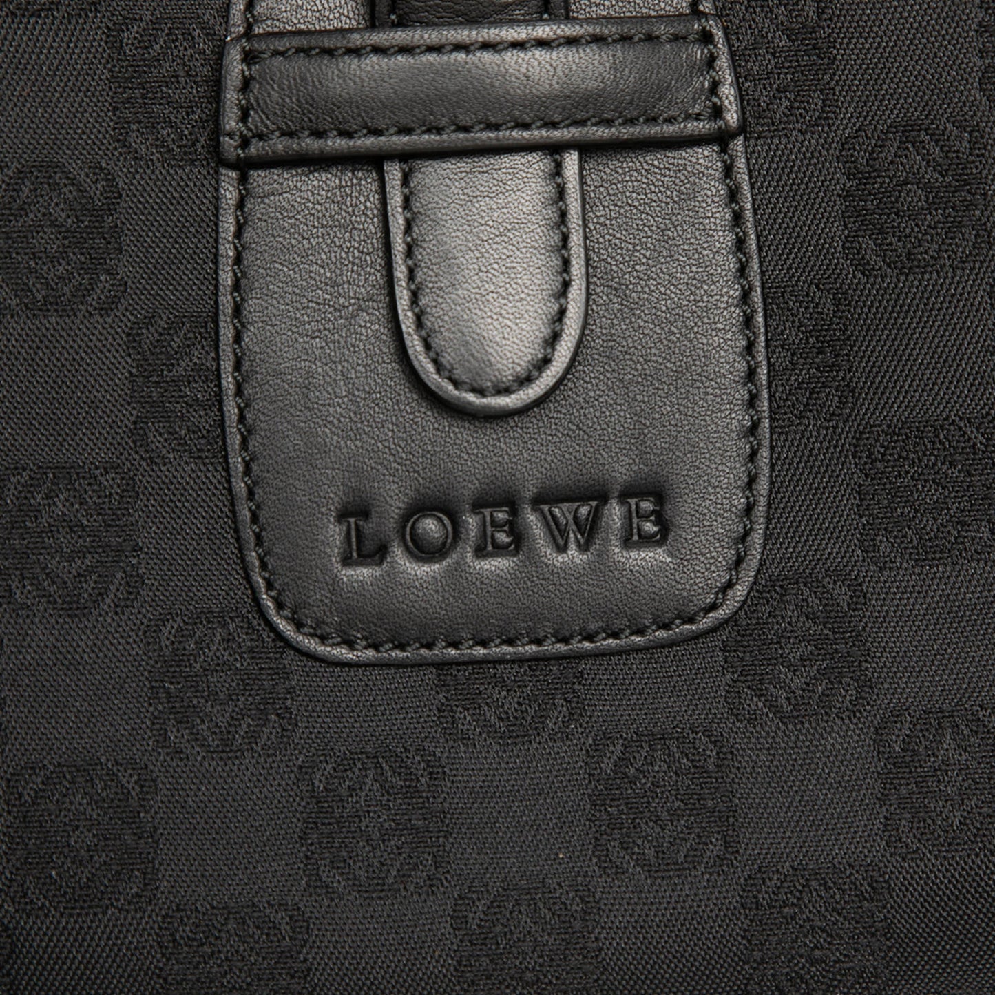 LOEWE Anagram Canvas Crossbody