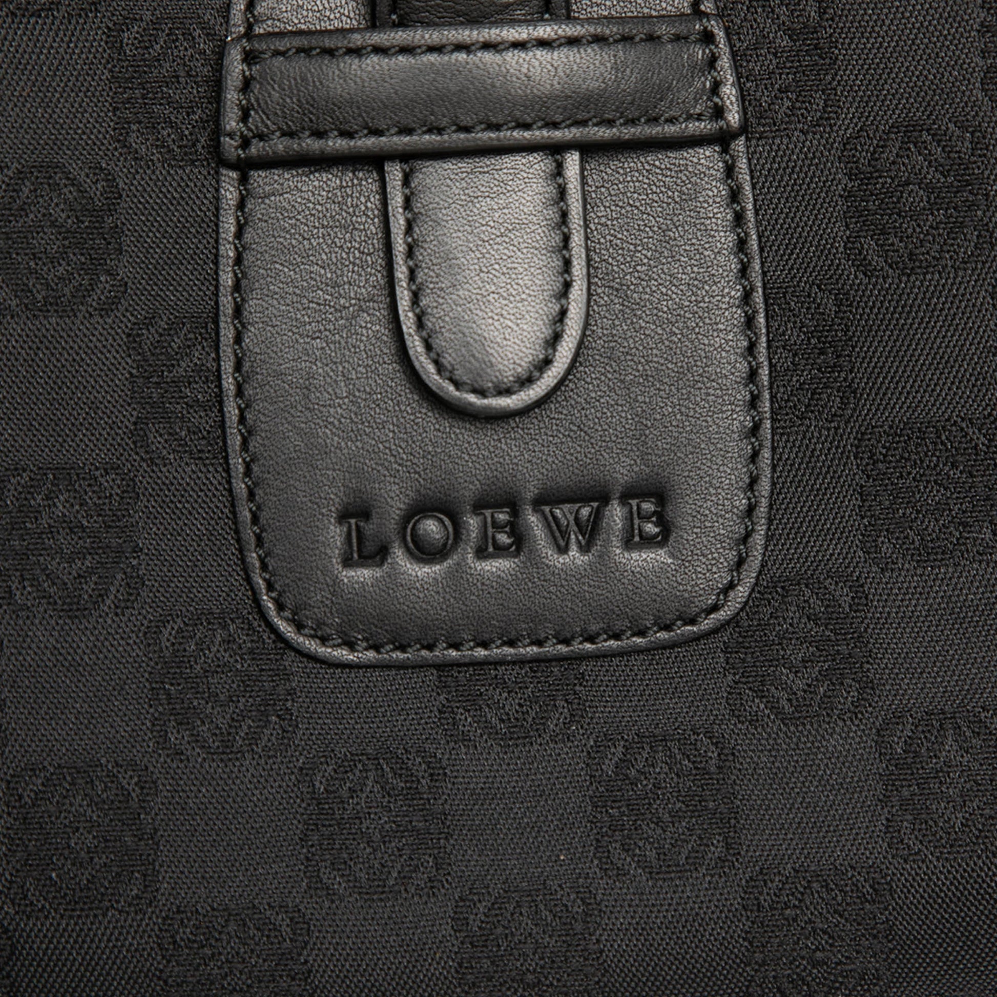 LOEWE Anagram Canvas Crossbody