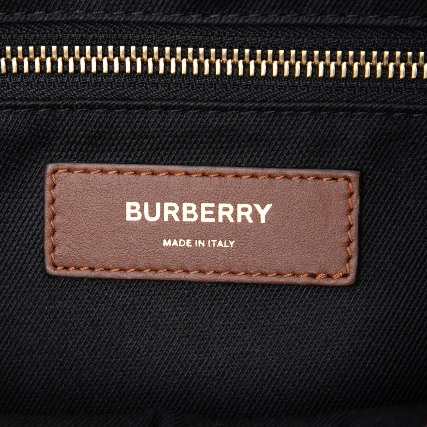 Burberry TB Monogram E-Canvas Camera Bag