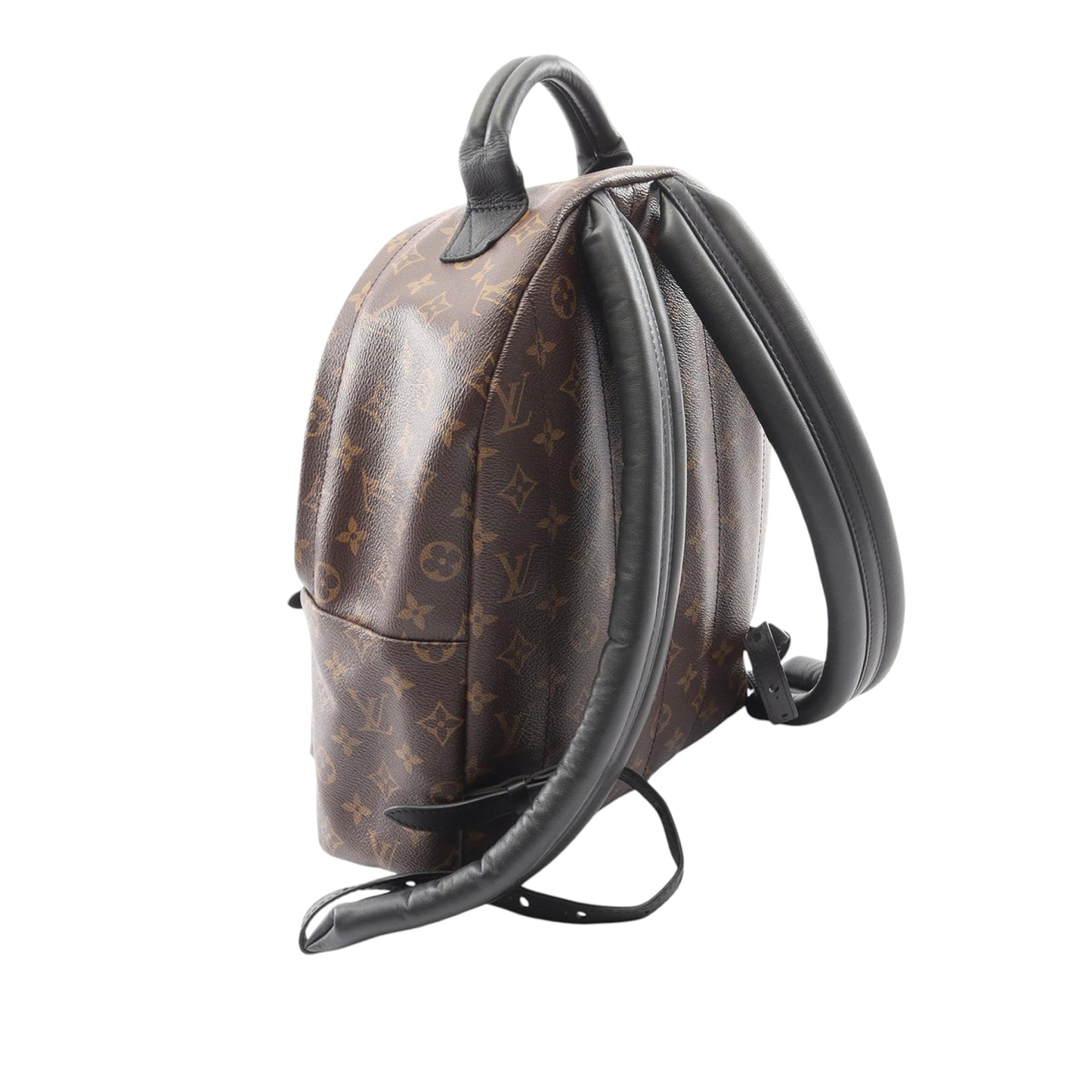 Louis Vuitton Monogram Palm Springs MM