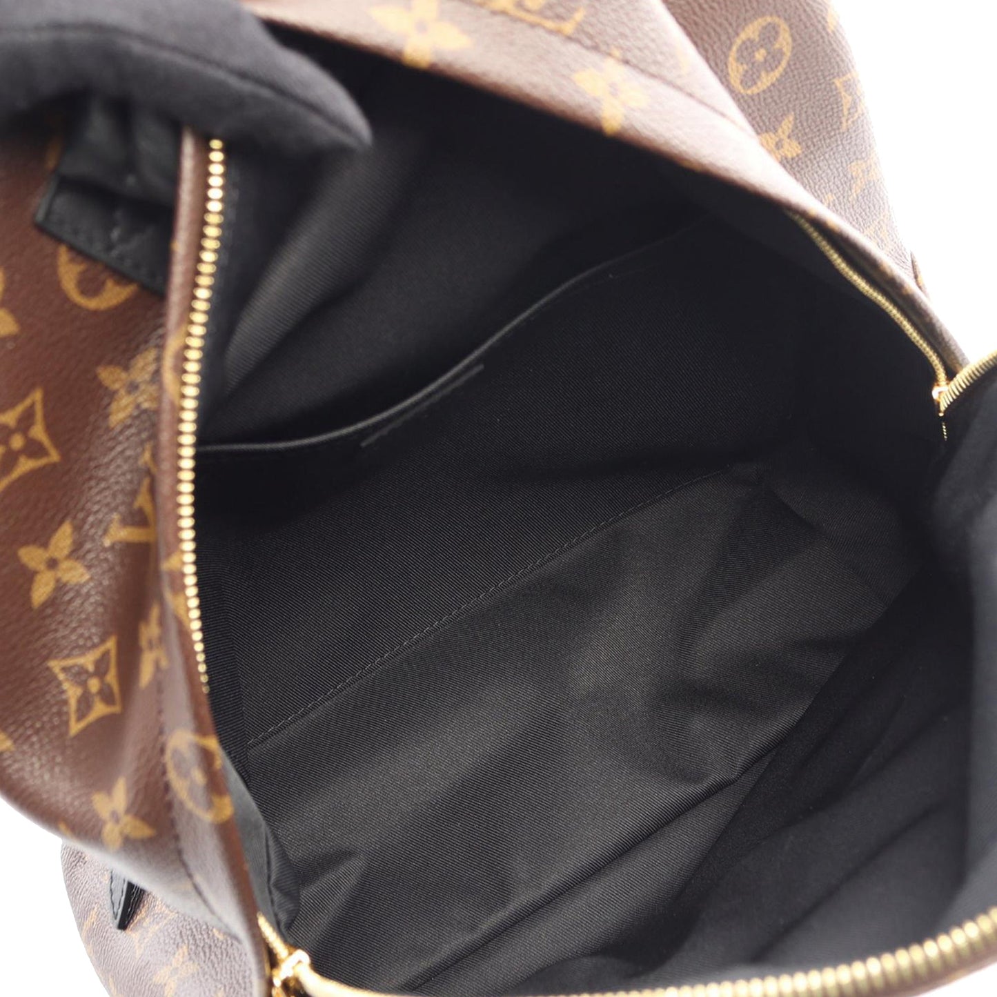 Louis Vuitton Monogram Palm Springs MM