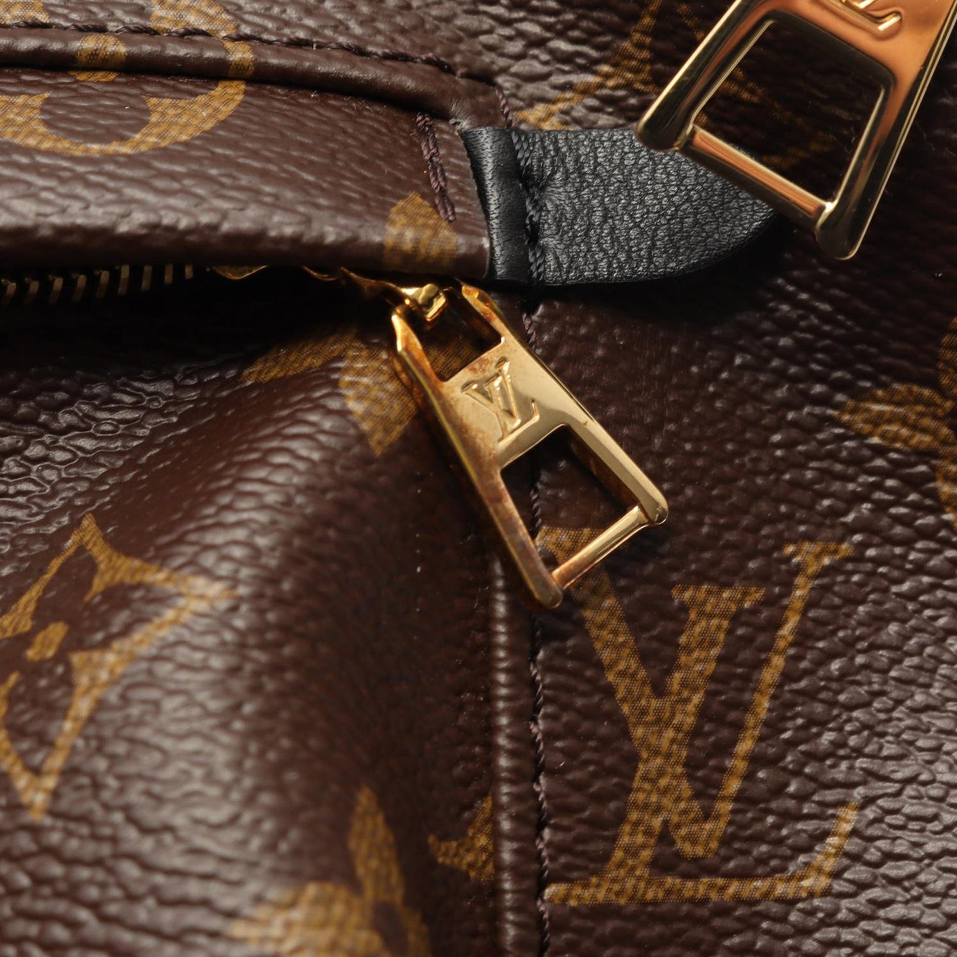 Louis Vuitton Monogram Palm Springs MM