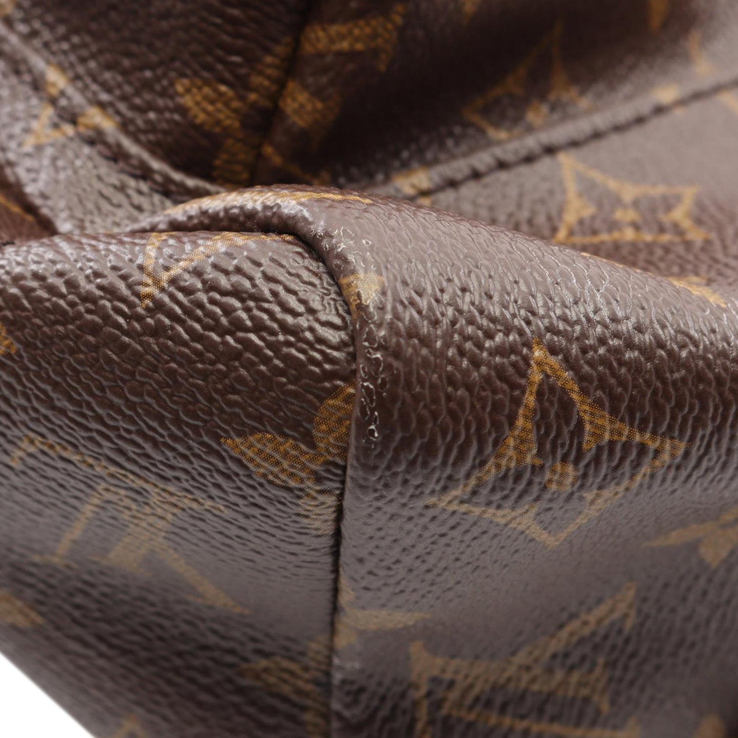 Louis Vuitton Monogram Palm Springs MM