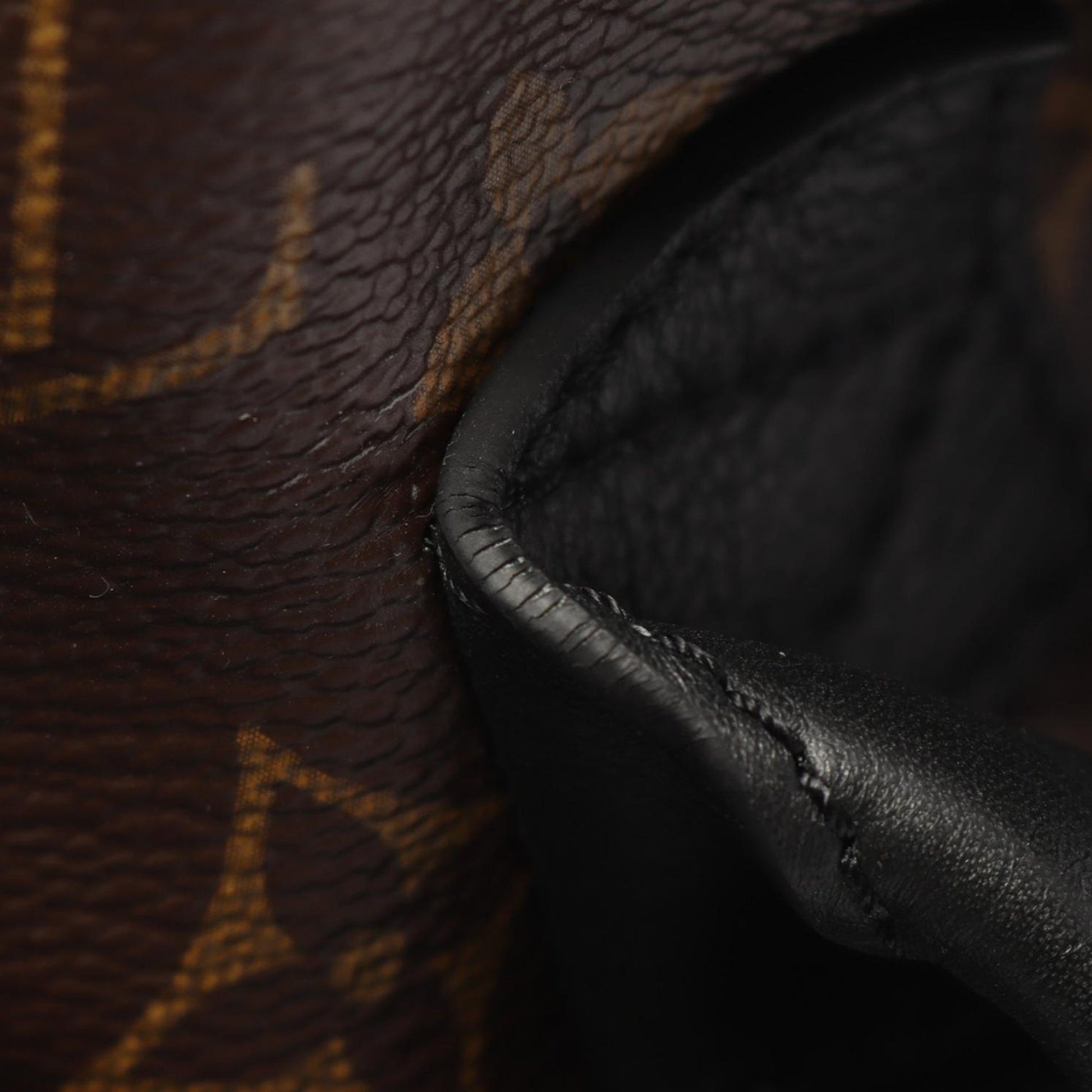 Louis Vuitton Monogram Palm Springs MM