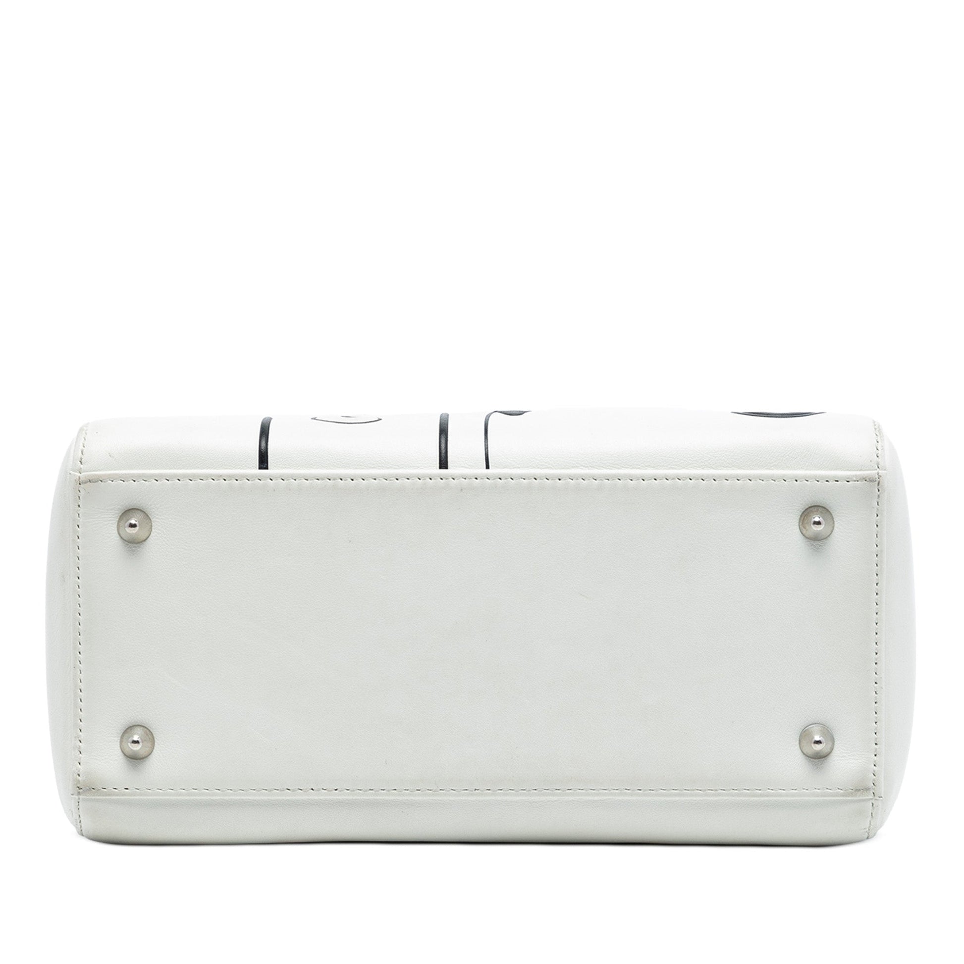 Dior Medium Lambskin Paradise Lady Dior