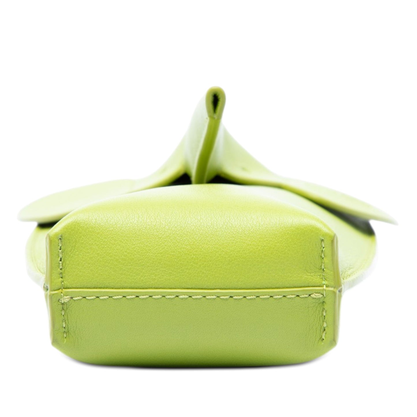 LOEWE Leather Elephant Pocket Crossbody