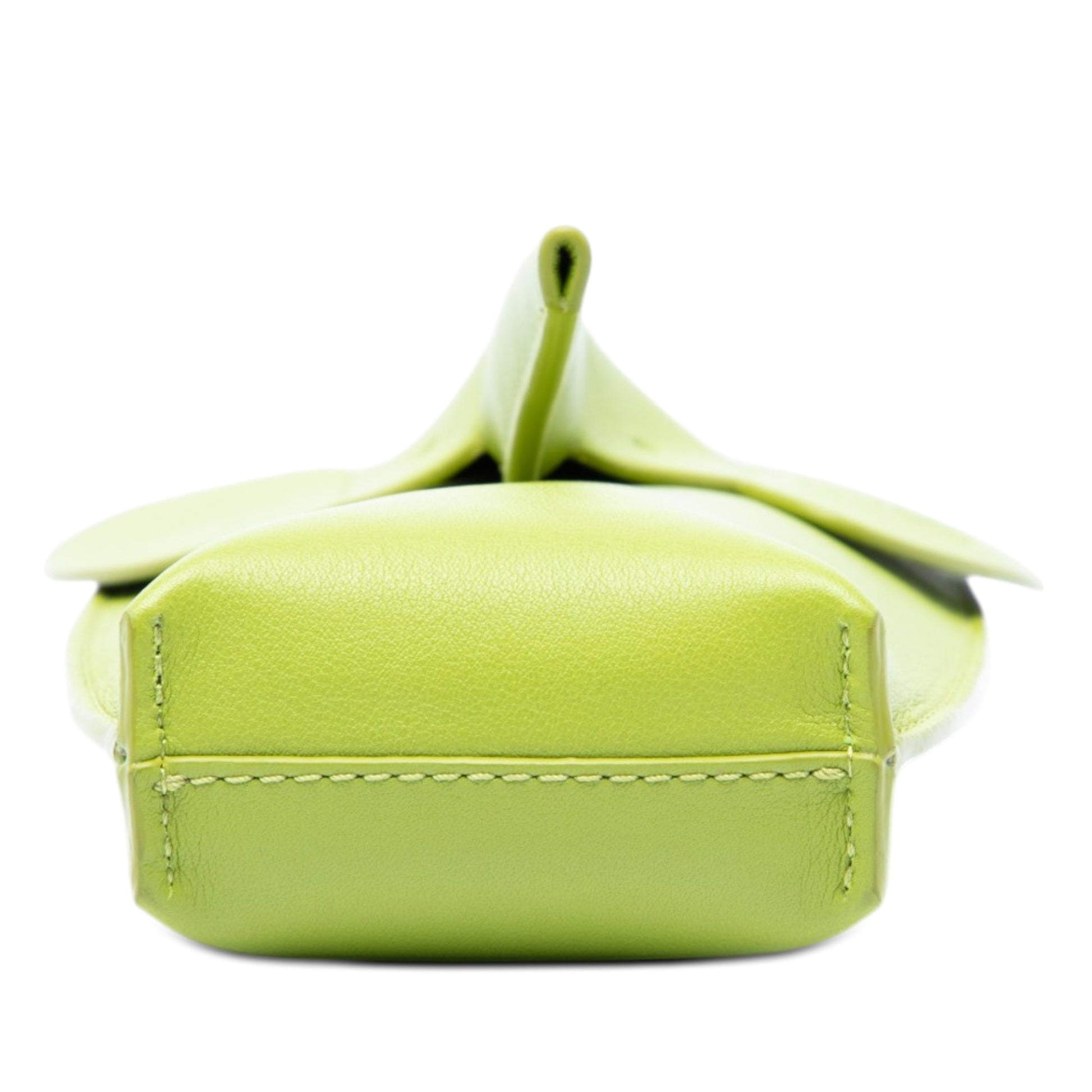 LOEWE Leather Elephant Pocket Crossbody