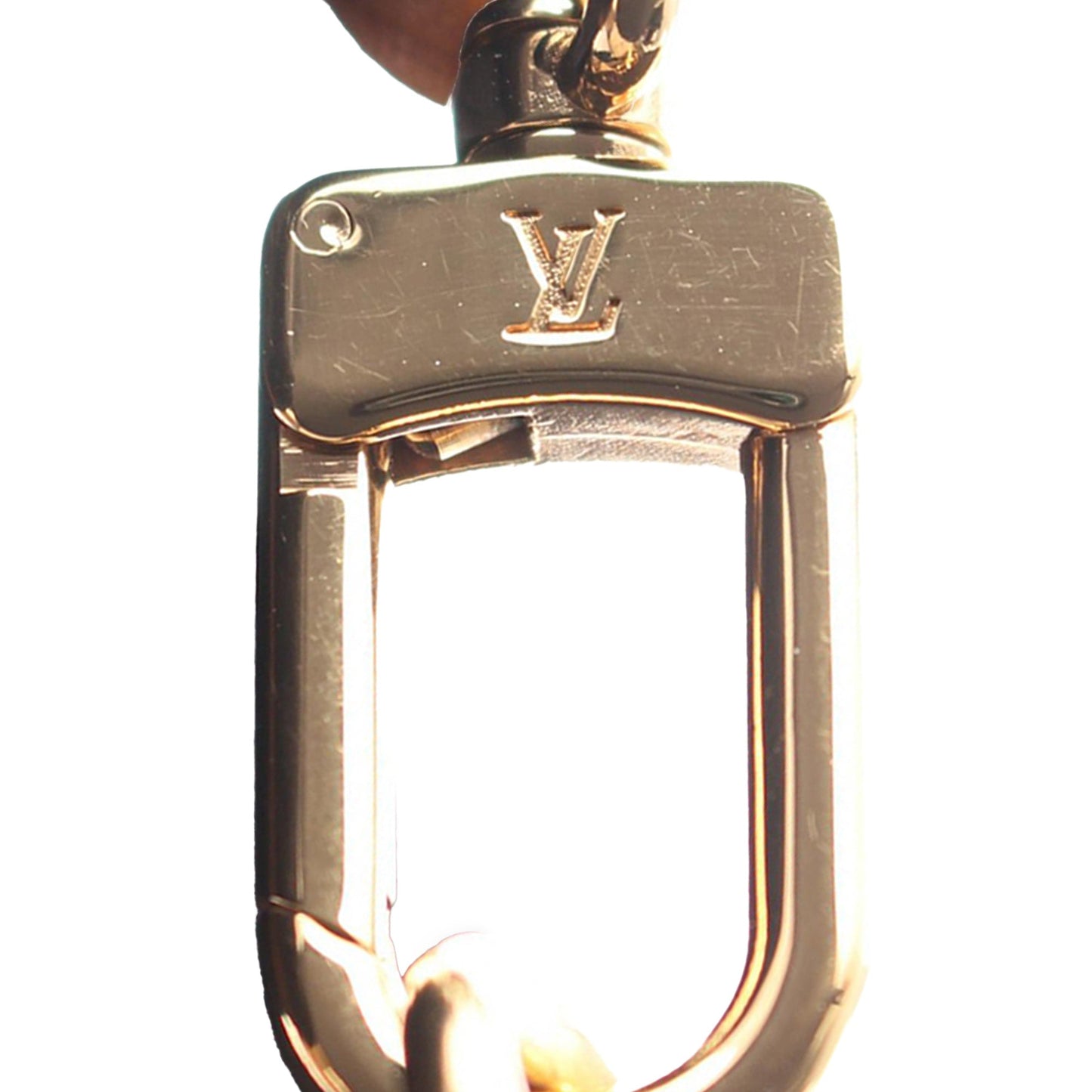 Louis Vuitton Monogram Pochette Accessoires