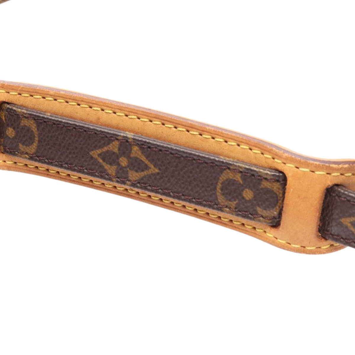 Louis Vuitton Monogram Amazone